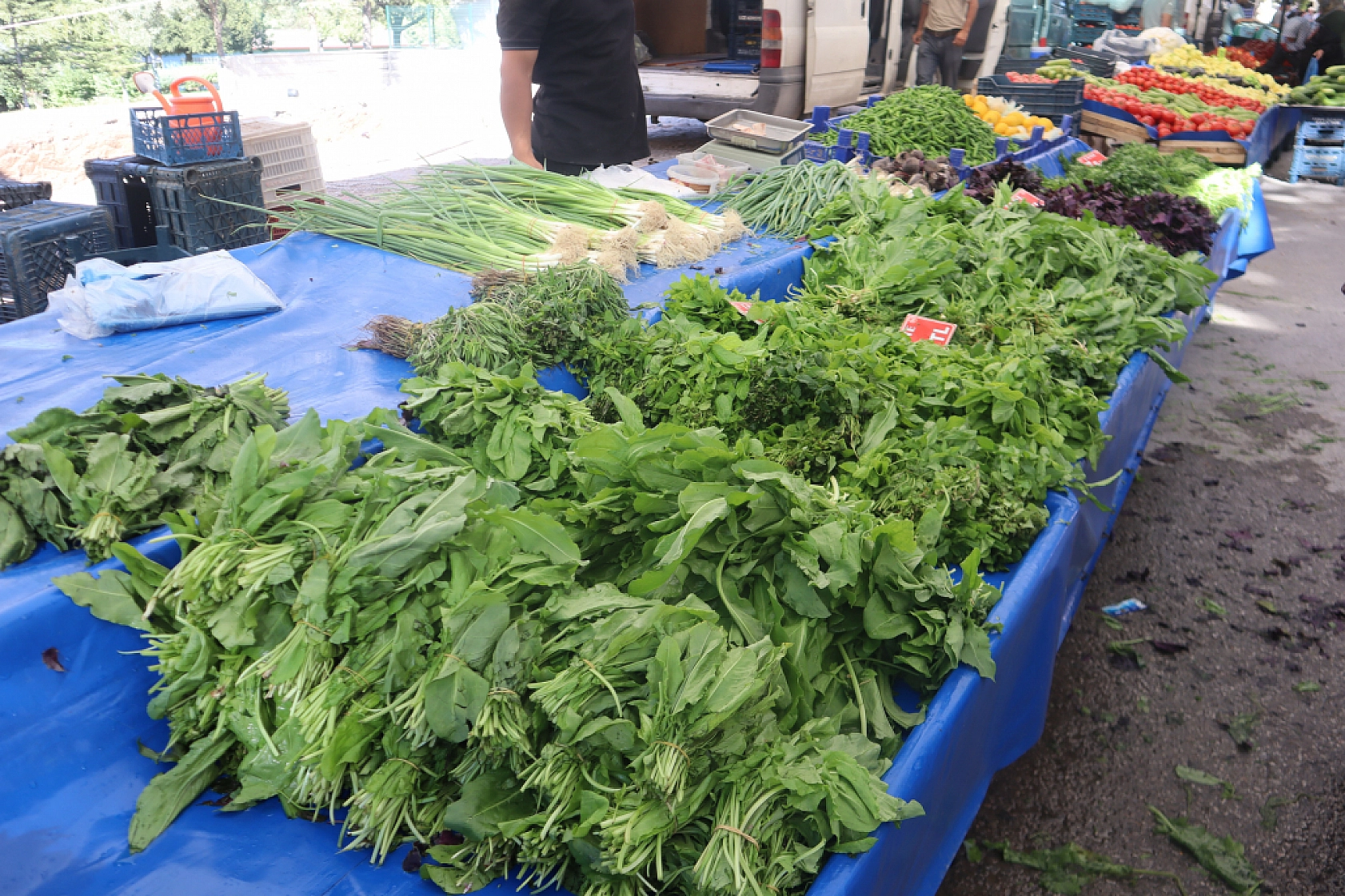 Pazarda şok fiyatlar! Meyveye el değmiyor! Domates 15 liraya kadar düştü…