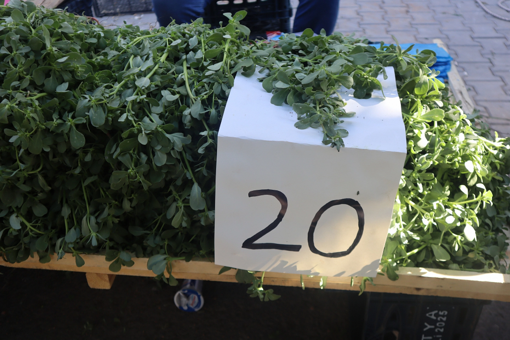 Pazarda şok fiyatlar! Meyveye el değmiyor! Domates 15 liraya kadar düştü…