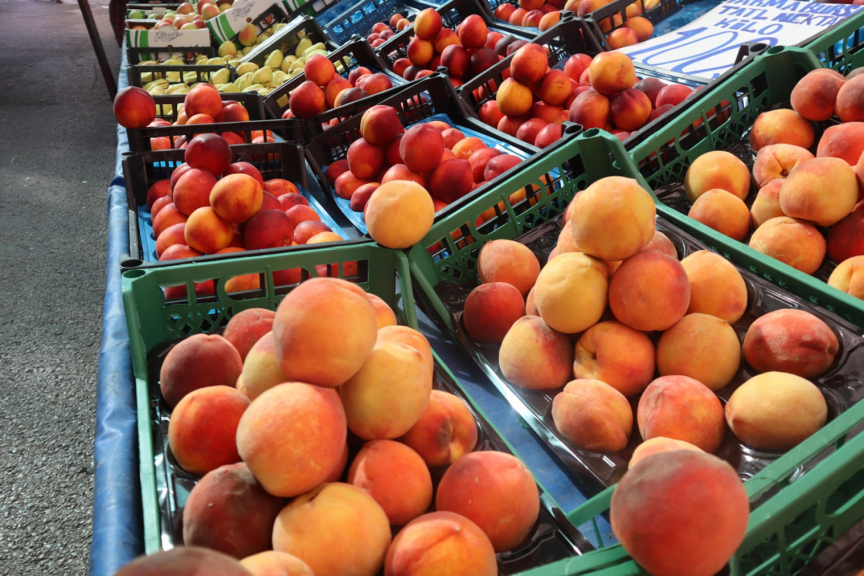 Pazarda şok fiyatlar! Meyveye el değmiyor! Domates 15 liraya kadar düştü…