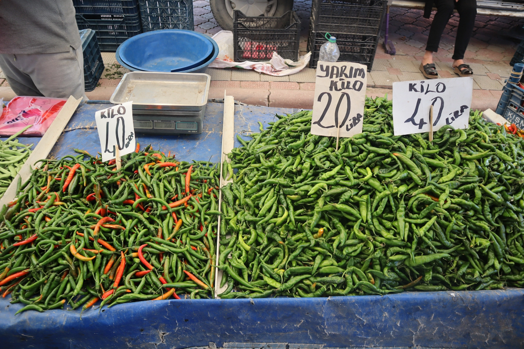 Pazarda şok fiyatlar! Meyveye el değmiyor! Domates 15 liraya kadar düştü…