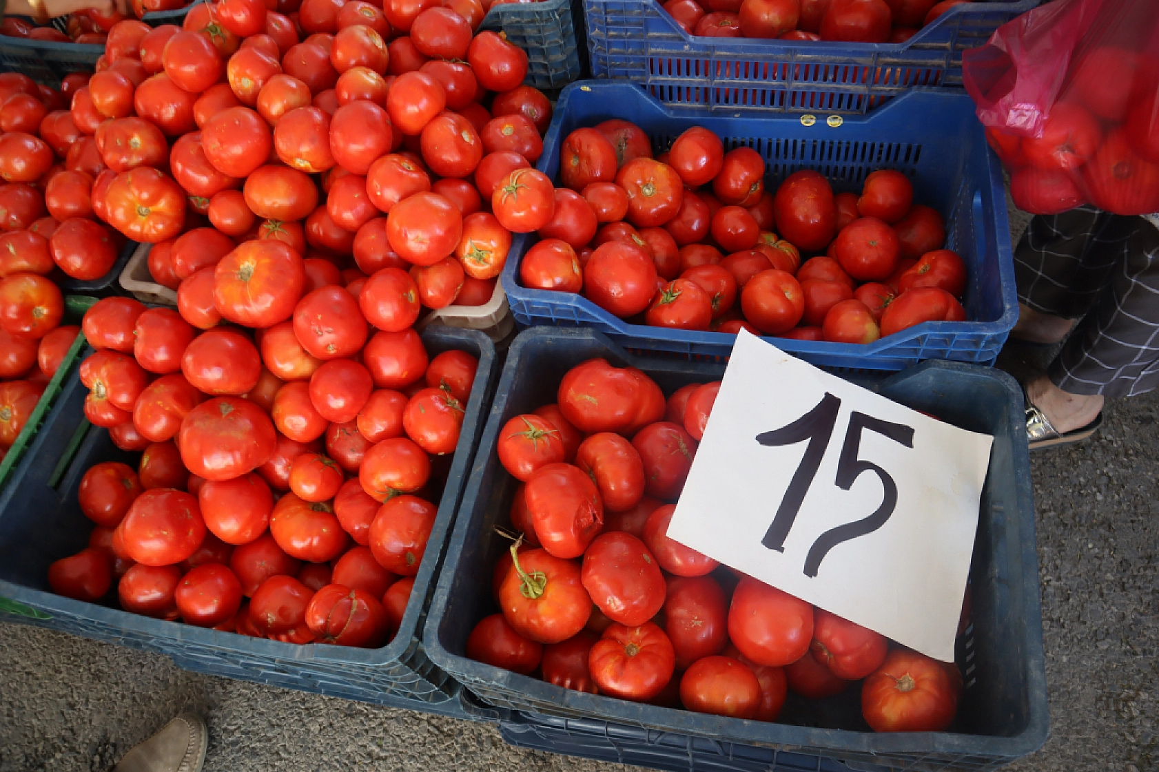 Pazarda şok fiyatlar! Meyveye el değmiyor! Domates 15 liraya kadar düştü…