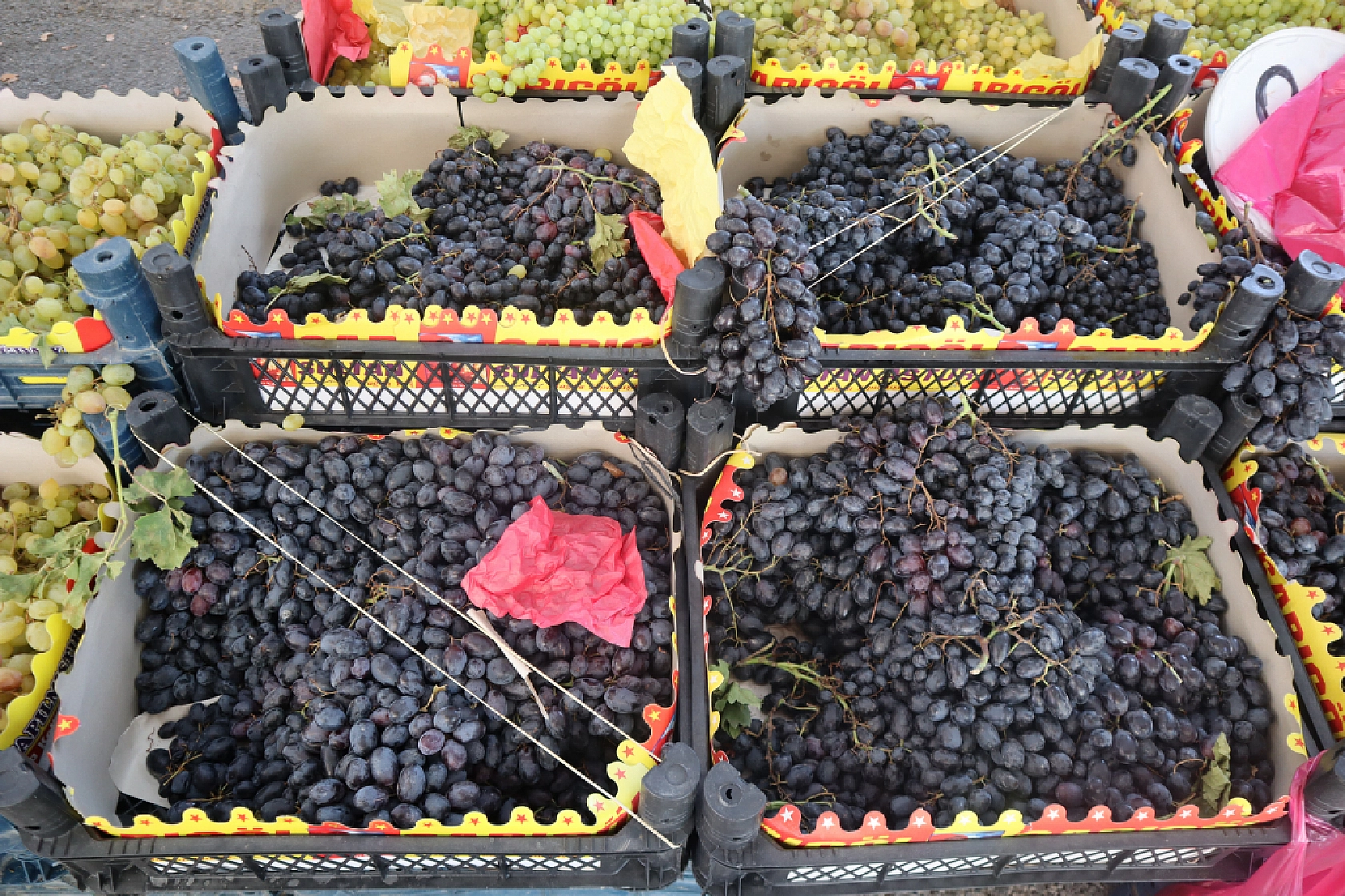 Pazarda şok fiyatlar! Meyveye el değmiyor! Domates 15 liraya kadar düştü…