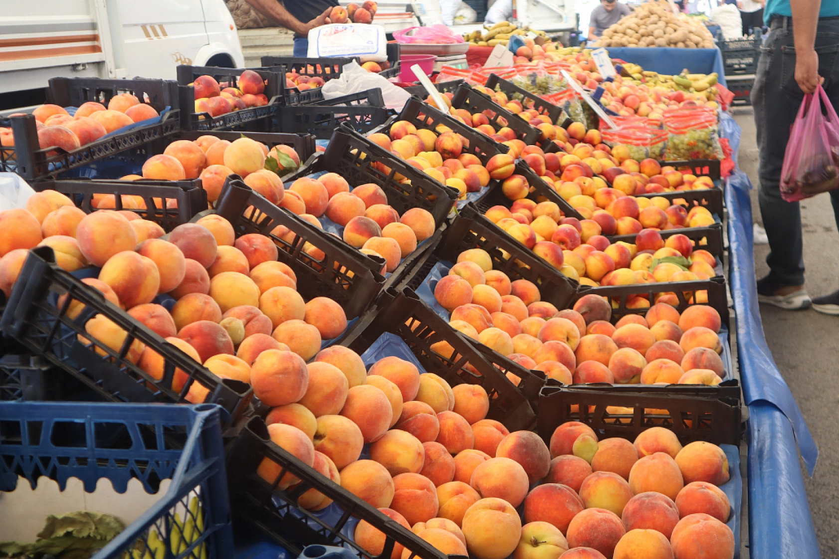 Pazarda şok fiyatlar! Meyveye el değmiyor! Domates 15 liraya kadar düştü…