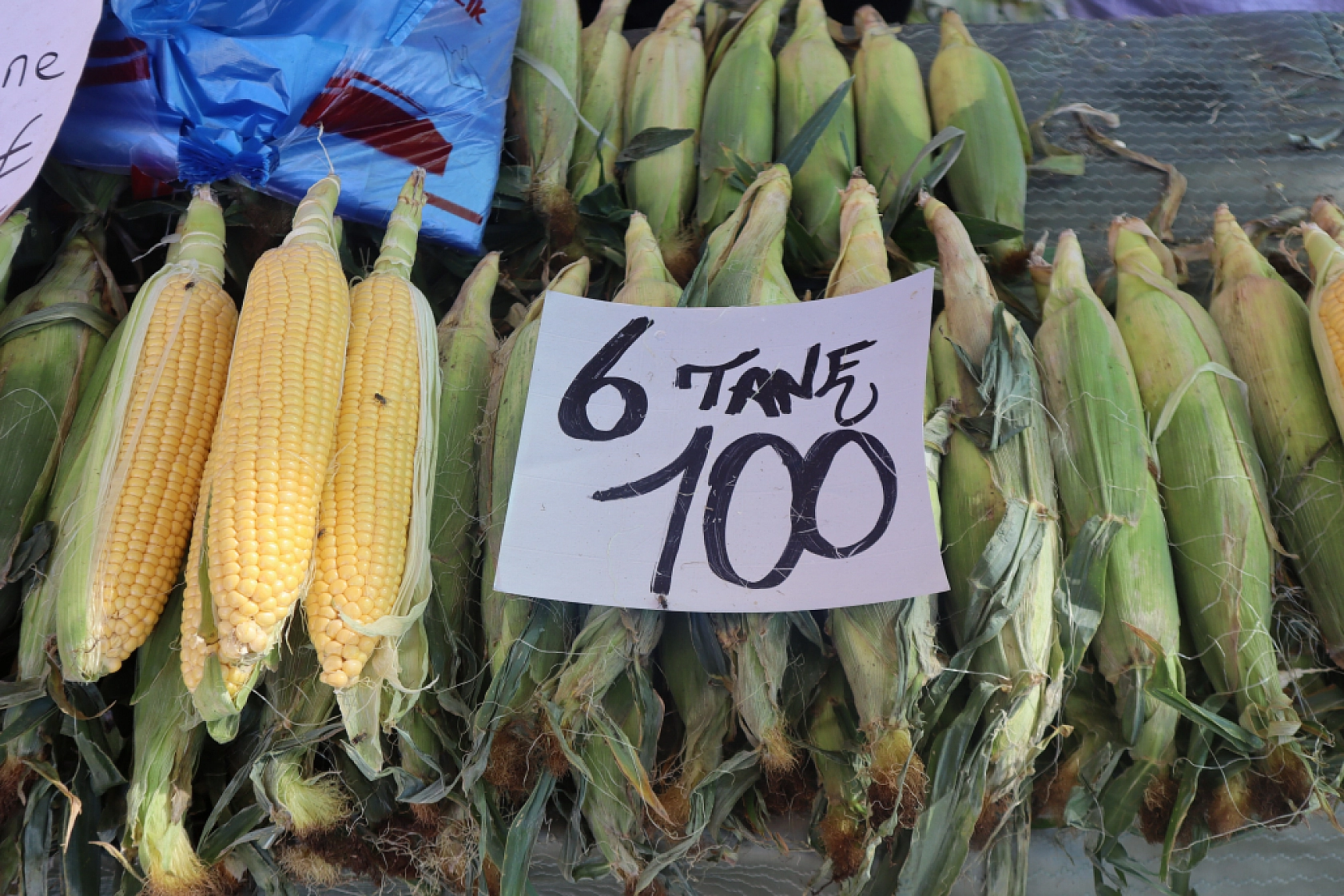 Pazarda şok fiyatlar! Meyveye el değmiyor! Domates 15 liraya kadar düştü…