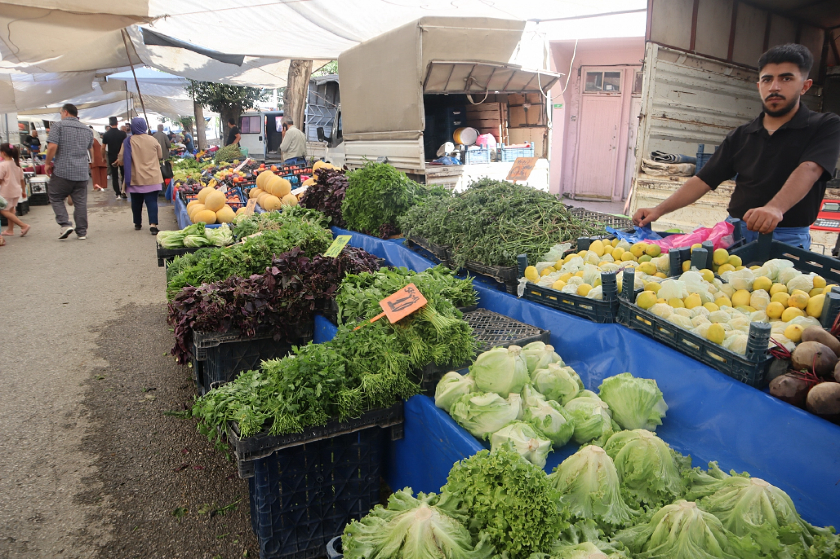 Pazarda şok fiyatlar! Meyveye el değmiyor! Domates 15 liraya kadar düştü…