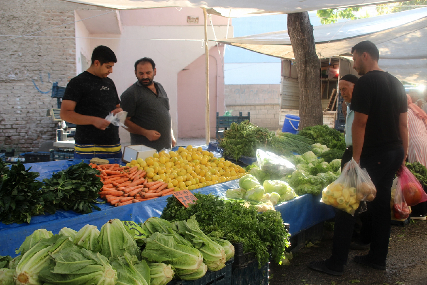 Malatya'da Sebze ve Meyve Fiyatları Düştü! İşte Güncel Cuma Pazarı Fiyatları...