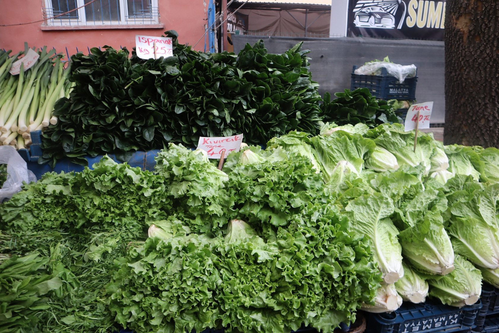 Manav, Market ve Hal Fiyatlarını Sizler İçin Karşılaştırdık! Malatya'da En Ucuz Meyve Sebze Fiyatı Nerde? İşte Cevabı…