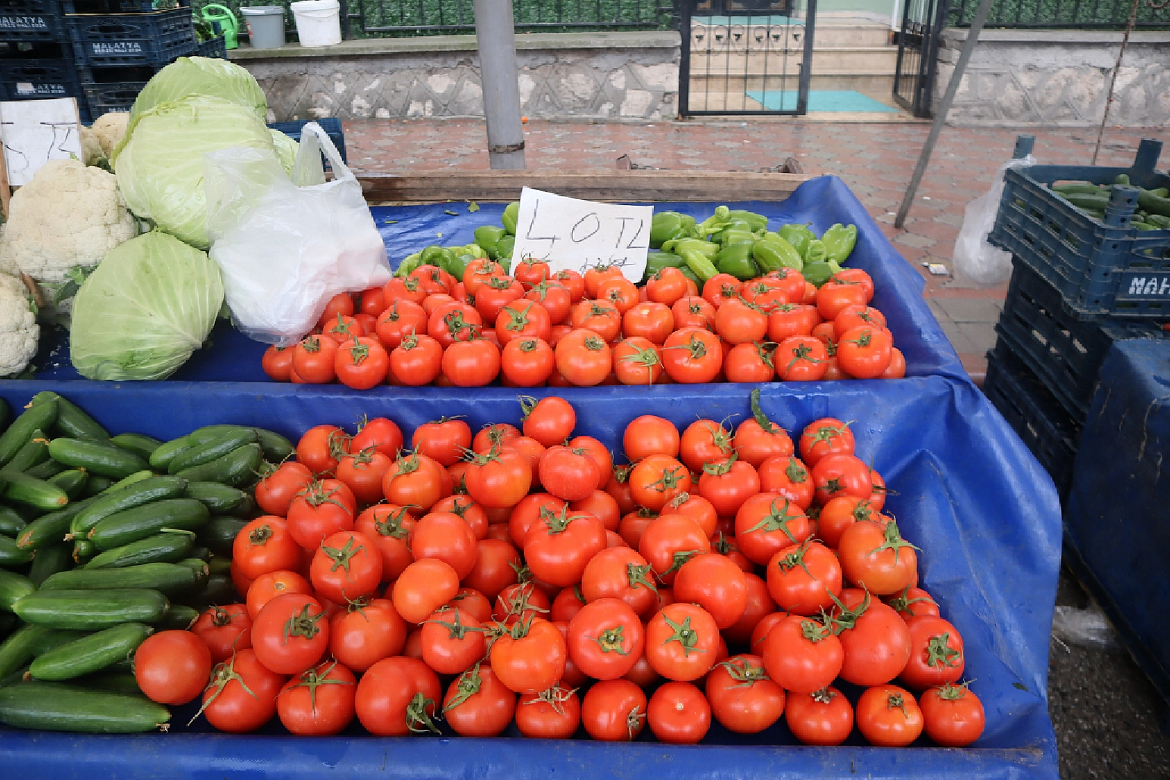 Manav, Market ve Hal Fiyatlarını Sizler İçin Karşılaştırdık! Malatya'da En Ucuz Meyve Sebze Fiyatı Nerde? İşte Cevabı…
