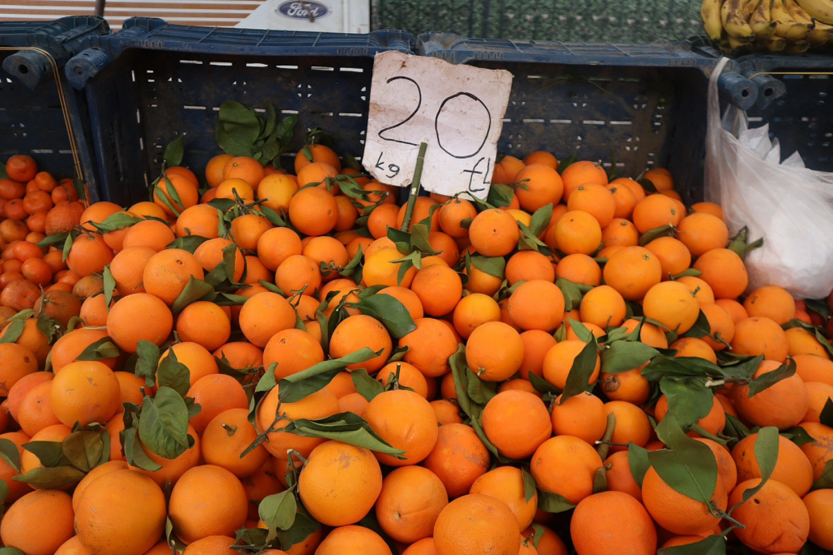 Manav, Market ve Hal Fiyatlarını Sizler İçin Karşılaştırdık! Malatya'da En Ucuz Meyve Sebze Fiyatı Nerde? İşte Cevabı…