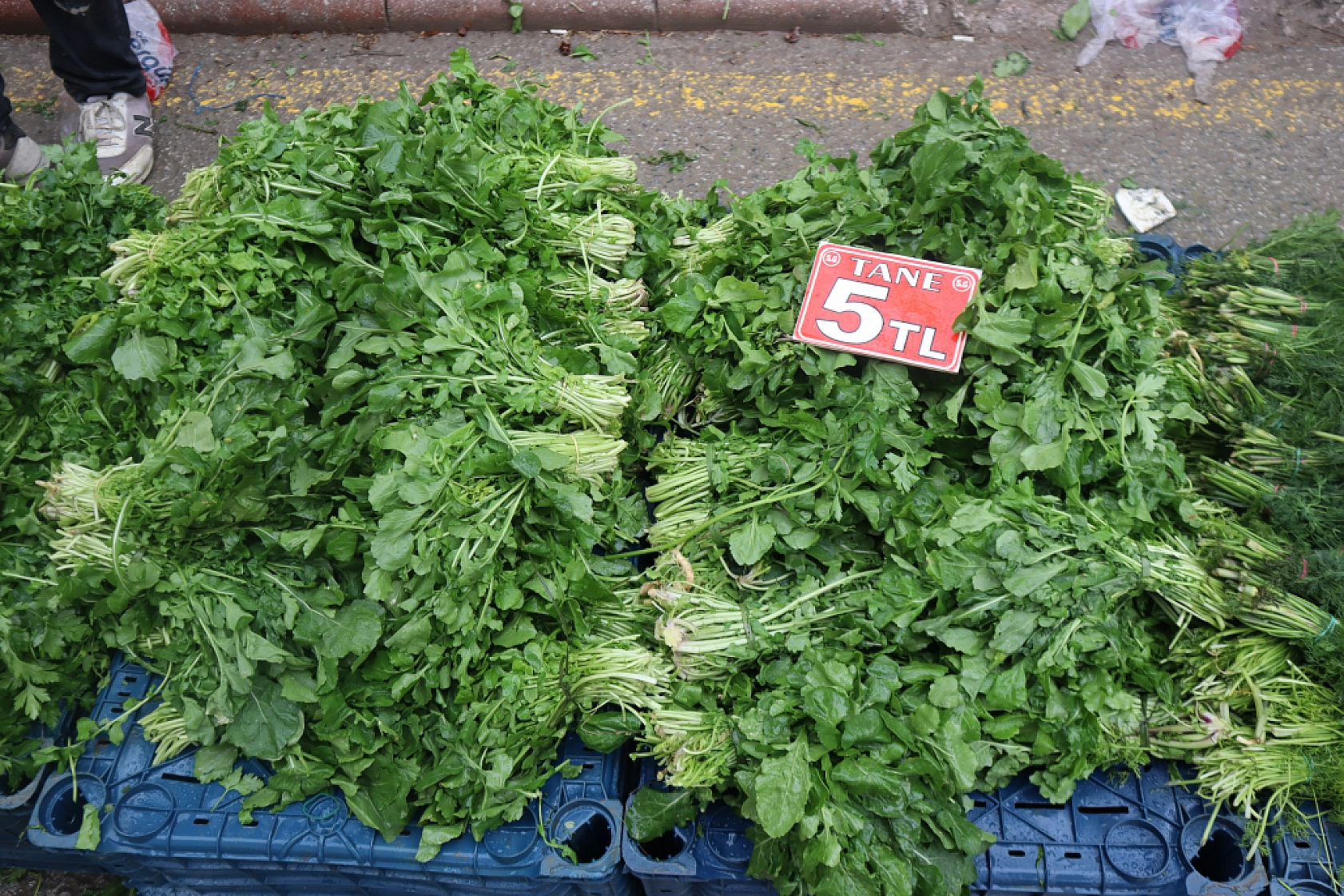 Manav, Market ve Hal Fiyatlarını Sizler İçin Karşılaştırdık! Malatya'da En Ucuz Meyve Sebze Fiyatı Nerde? İşte Cevabı…