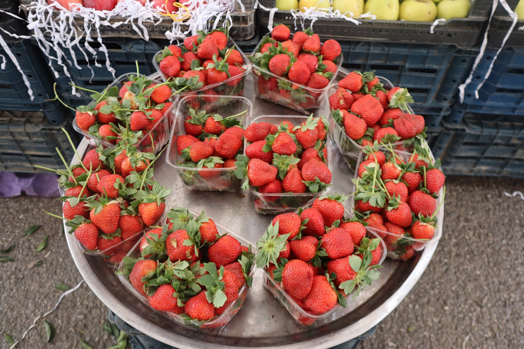 Manav, Market ve Hal Fiyatlarını Sizler İçin Karşılaştırdık! Malatya'da En Ucuz Meyve Sebze Fiyatı Nerde? İşte Cevabı…