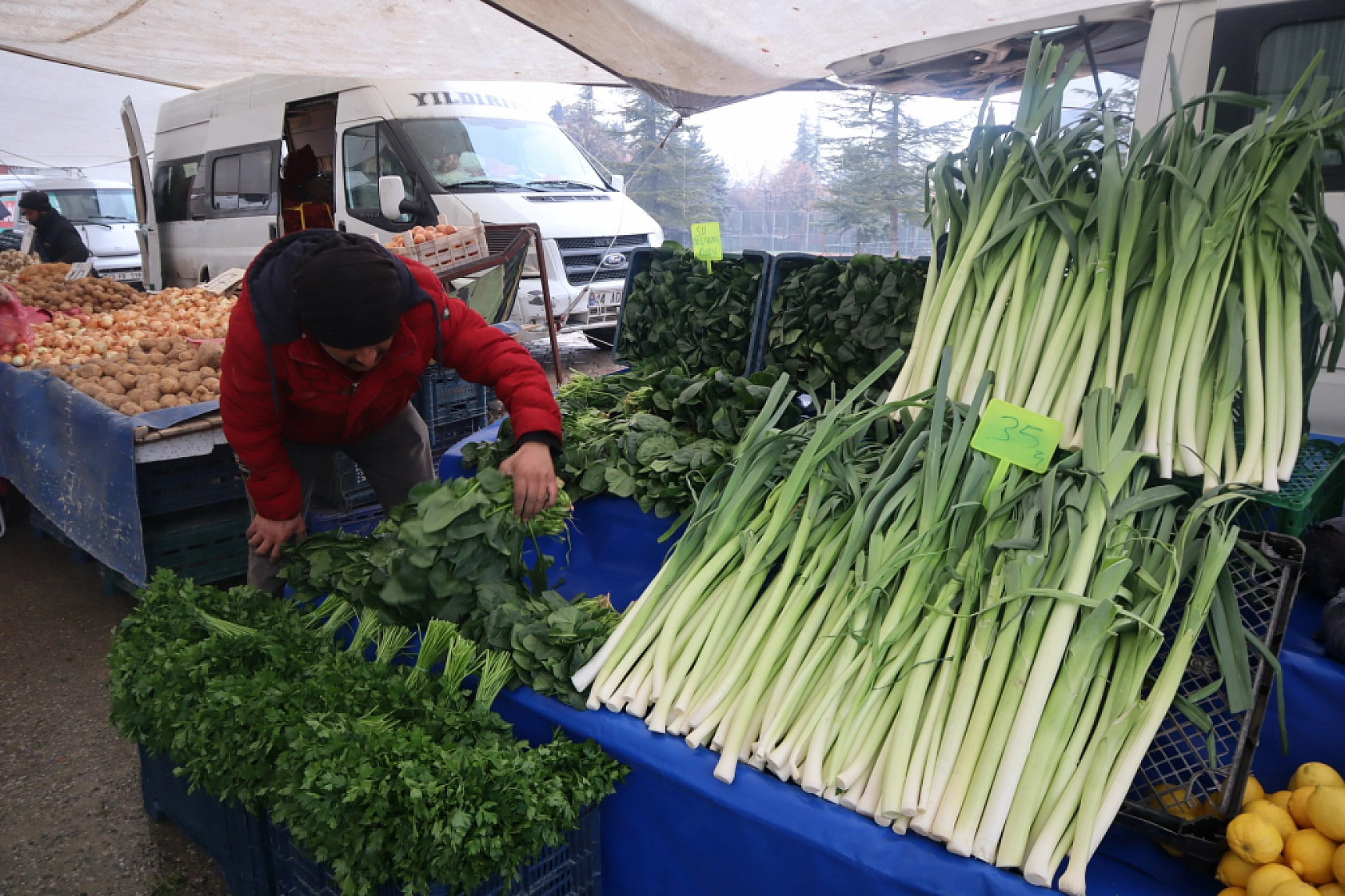 Manav, Market ve Hal Fiyatlarını Sizler İçin Karşılaştırdık! Malatya'da En Ucuz Meyve Sebze Fiyatı Nerde? İşte Cevabı…
