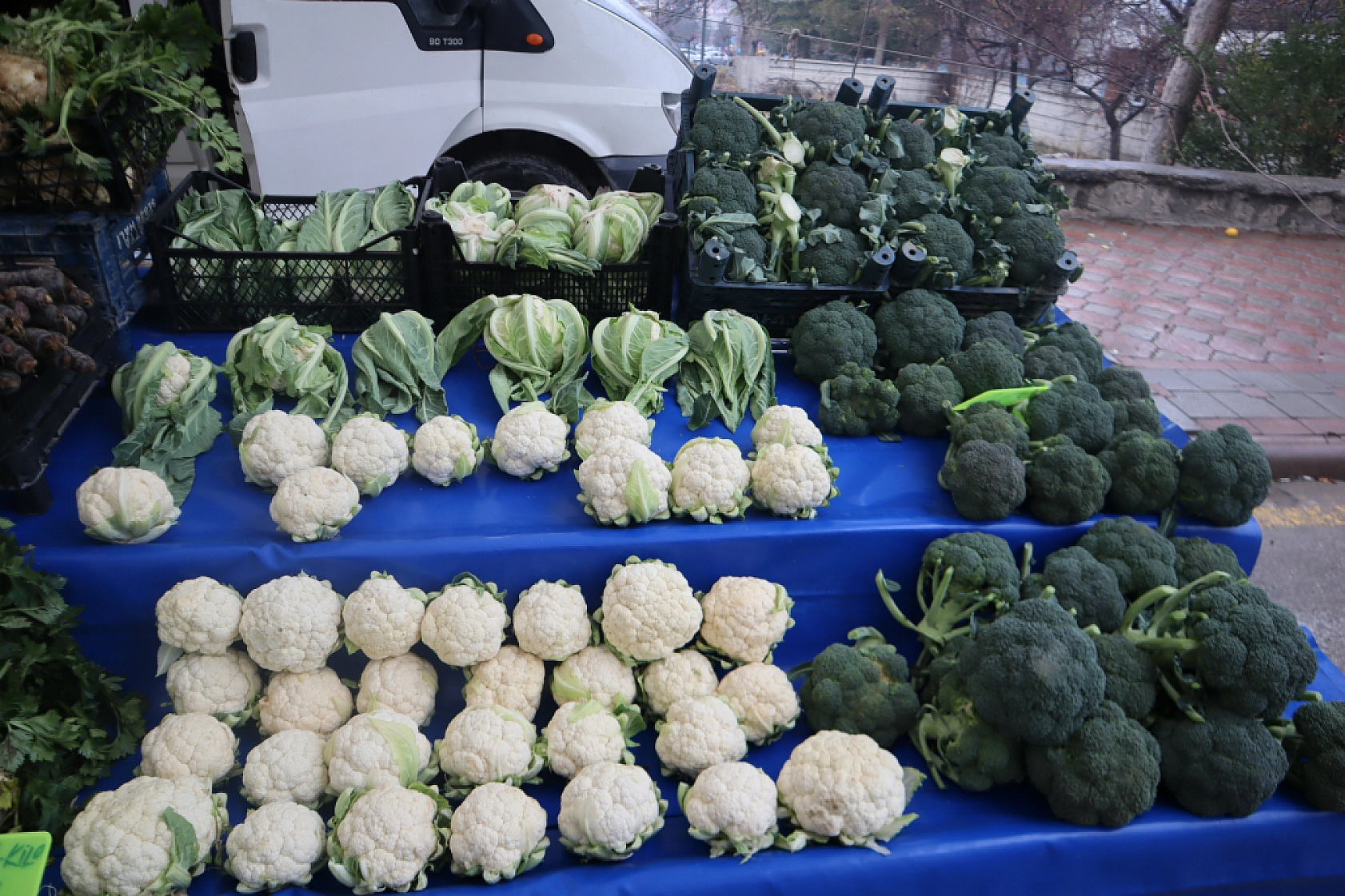 Manav, Market ve Hal Fiyatlarını Sizler İçin Karşılaştırdık! Malatya'da En Ucuz Meyve Sebze Fiyatı Nerde? İşte Cevabı…