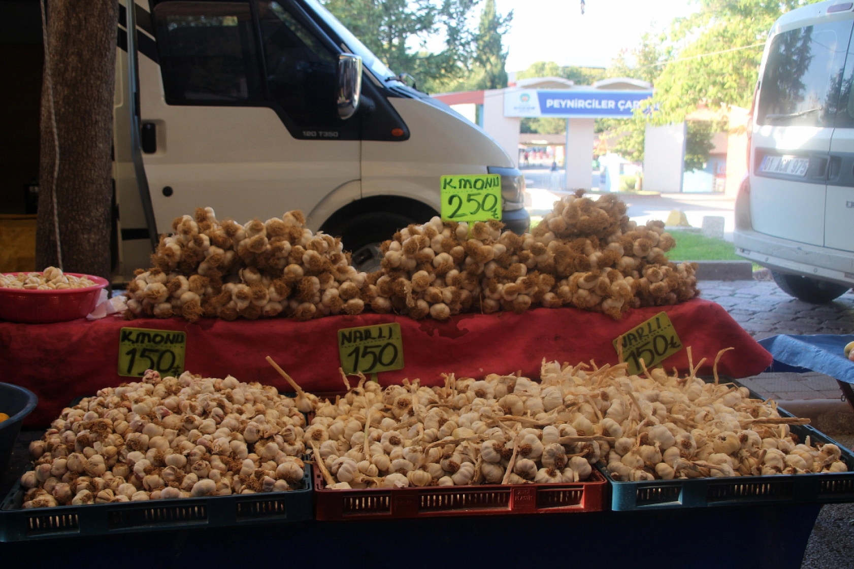 Malatya'da Sebze ve Meyve Fiyatları Düştü! İşte Güncel Cuma Pazarı Fiyatları...