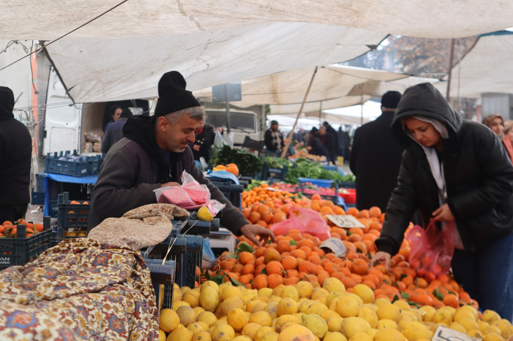 Manav, Market ve Hal Fiyatlarını Sizler İçin Karşılaştırdık! Malatya'da En Ucuz Meyve Sebze Fiyatı Nerde? İşte Cevabı…