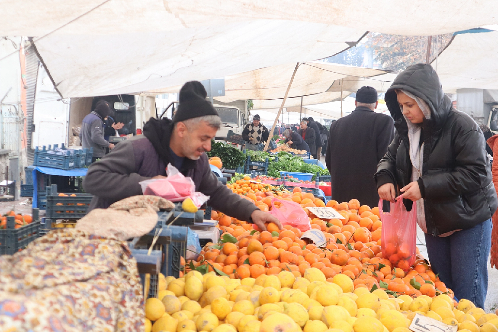 Manav, Market ve Hal Fiyatlarını Sizler İçin Karşılaştırdık! Malatya'da En Ucuz Meyve Sebze Fiyatı Nerde? İşte Cevabı…