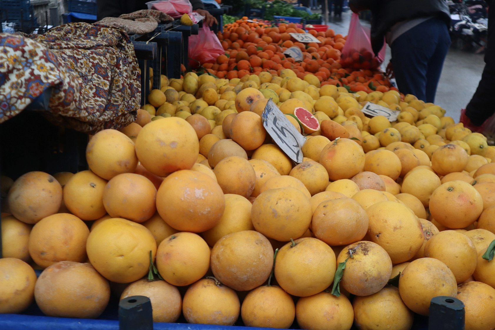 Manav, Market ve Hal Fiyatlarını Sizler İçin Karşılaştırdık! Malatya'da En Ucuz Meyve Sebze Fiyatı Nerde? İşte Cevabı…