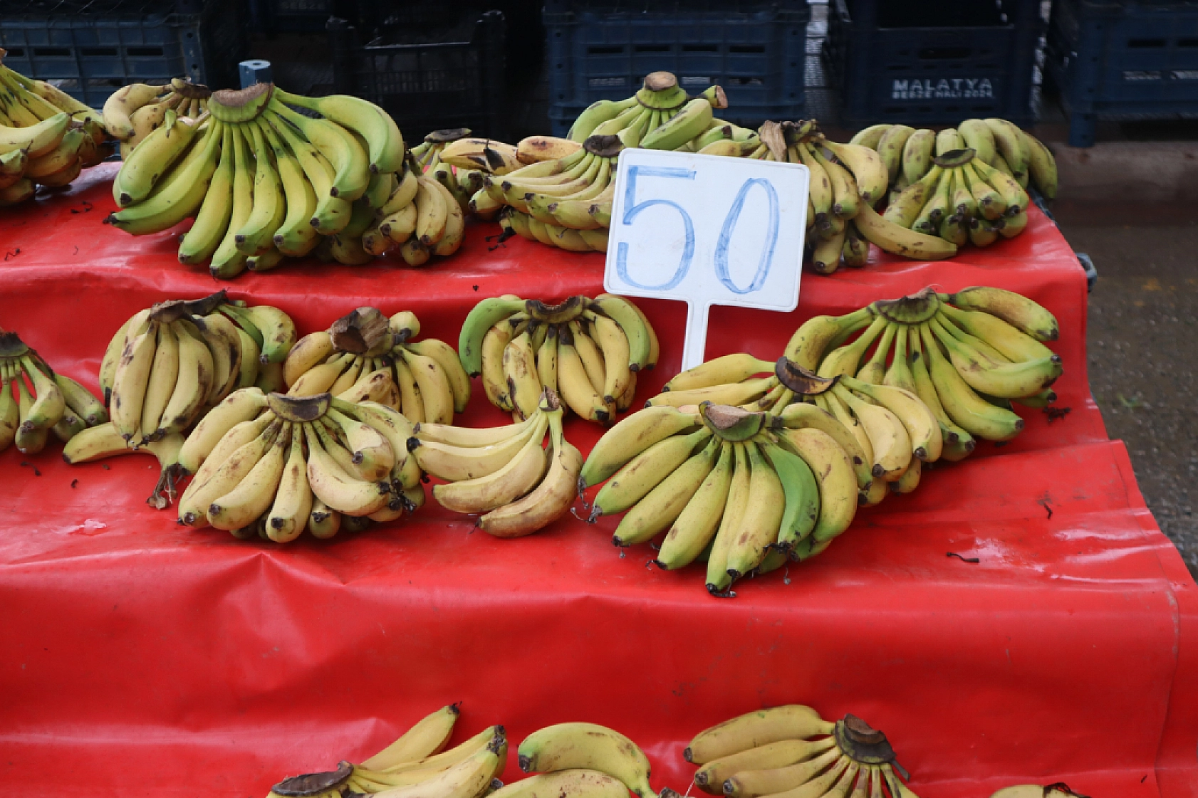 Manav, Market ve Hal Fiyatlarını Sizler İçin Karşılaştırdık! Malatya'da En Ucuz Meyve Sebze Fiyatı Nerde? İşte Cevabı…