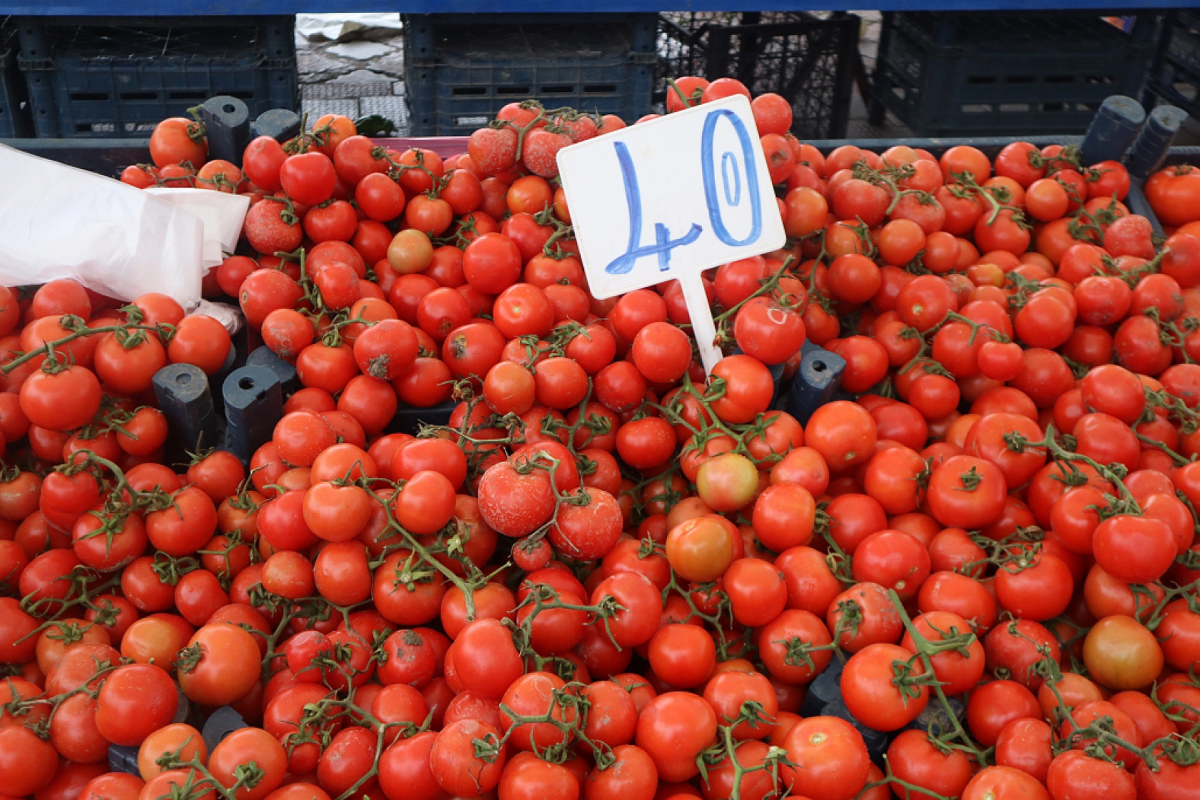 Manav, Market ve Hal Fiyatlarını Sizler İçin Karşılaştırdık! Malatya'da En Ucuz Meyve Sebze Fiyatı Nerde? İşte Cevabı…