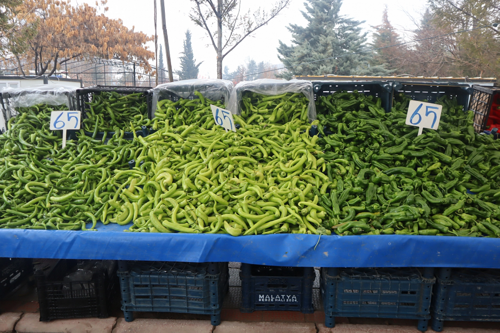 Manav, Market ve Hal Fiyatlarını Sizler İçin Karşılaştırdık! Malatya'da En Ucuz Meyve Sebze Fiyatı Nerde? İşte Cevabı…