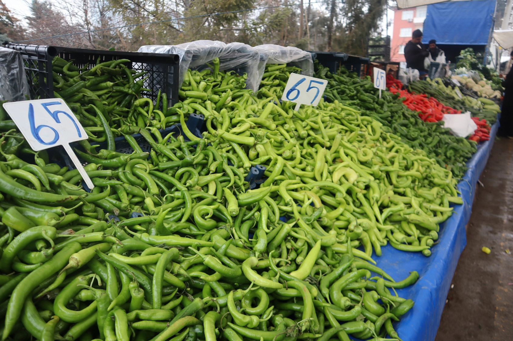 Manav, Market ve Hal Fiyatlarını Sizler İçin Karşılaştırdık! Malatya'da En Ucuz Meyve Sebze Fiyatı Nerde? İşte Cevabı…