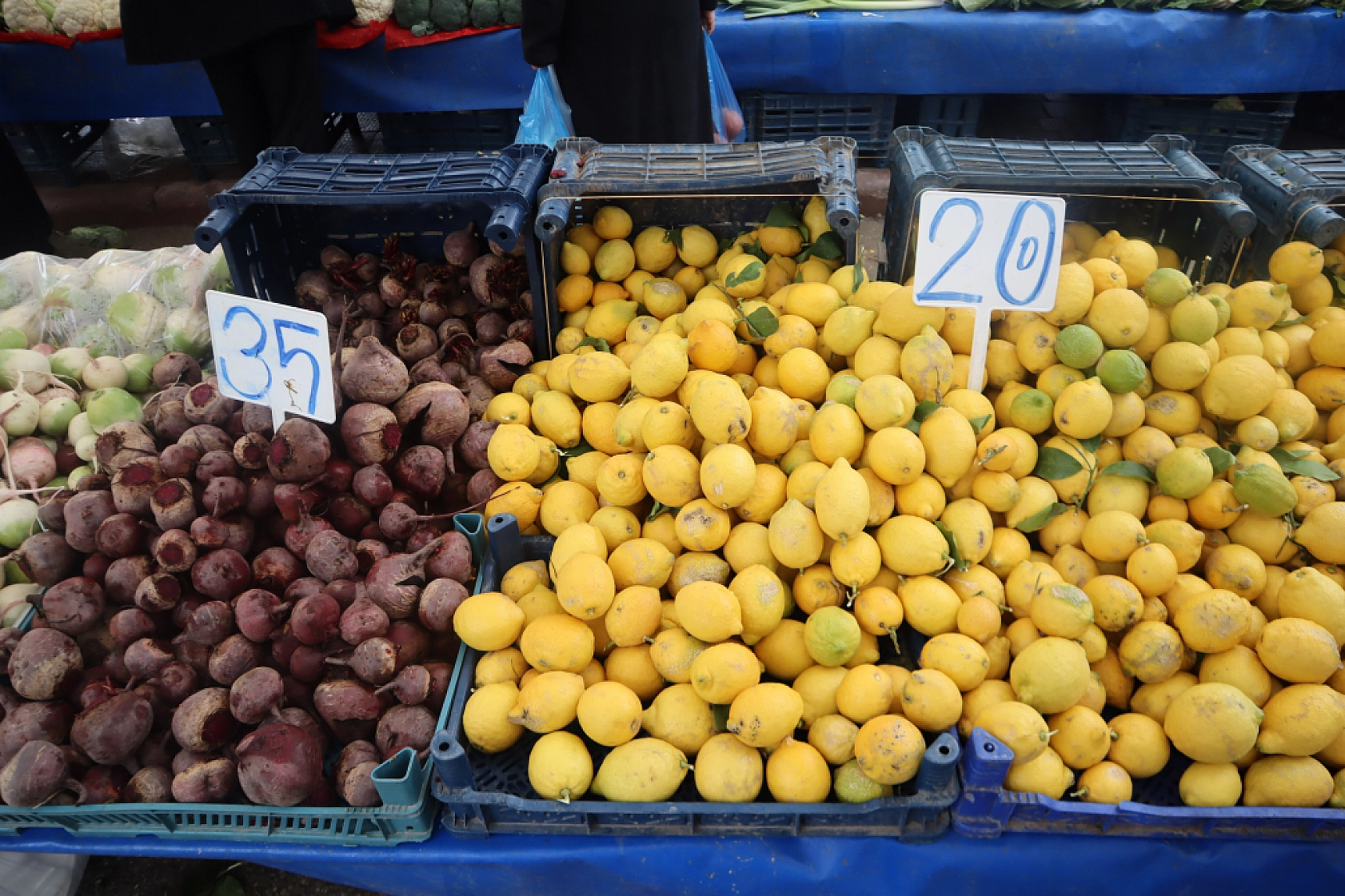 Manav, Market ve Hal Fiyatlarını Sizler İçin Karşılaştırdık! Malatya'da En Ucuz Meyve Sebze Fiyatı Nerde? İşte Cevabı…
