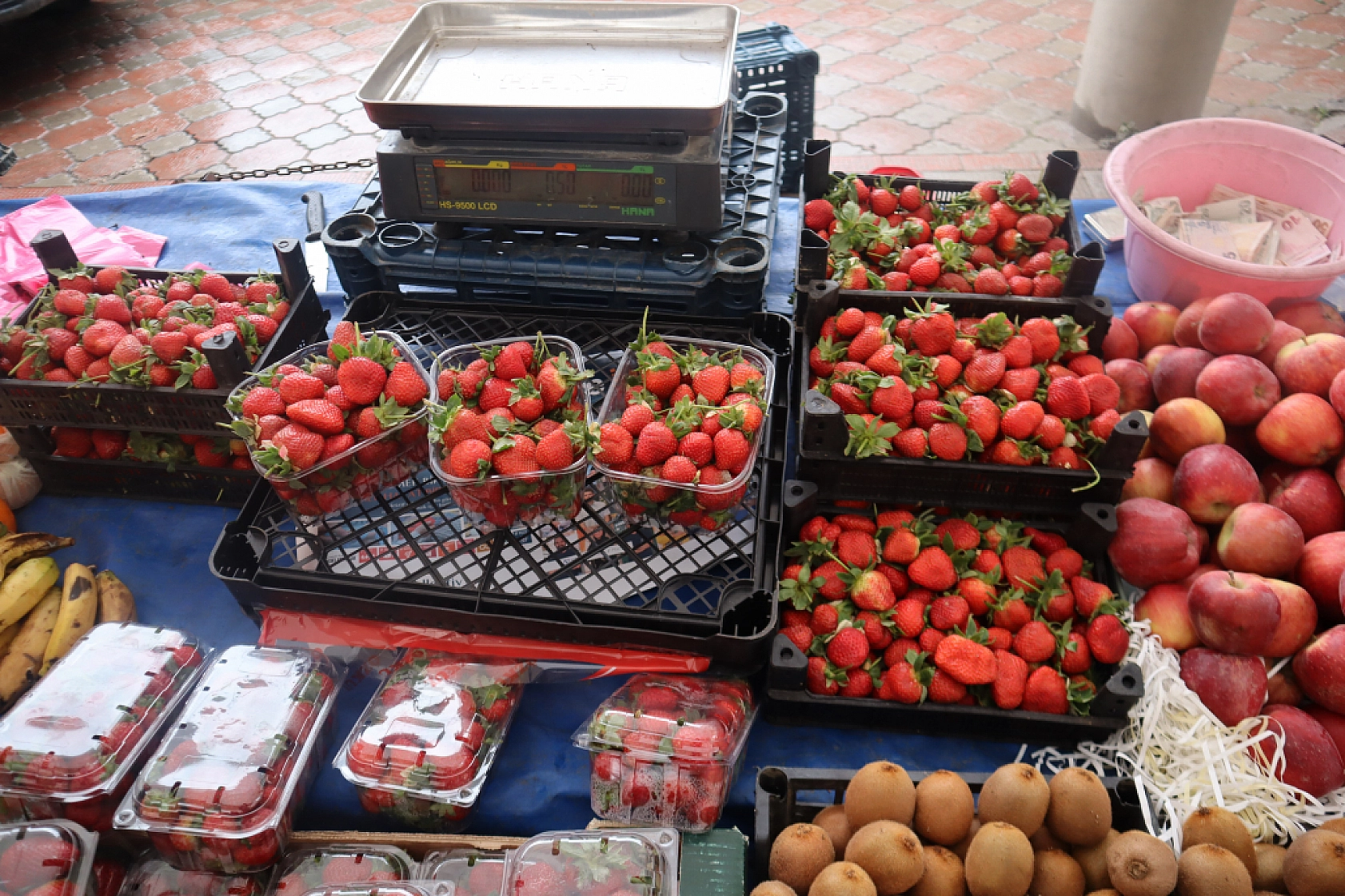 Manav, Market ve Hal Fiyatlarını Sizler İçin Karşılaştırdık! Malatya'da En Ucuz Meyve Sebze Fiyatı Nerde? İşte Cevabı…