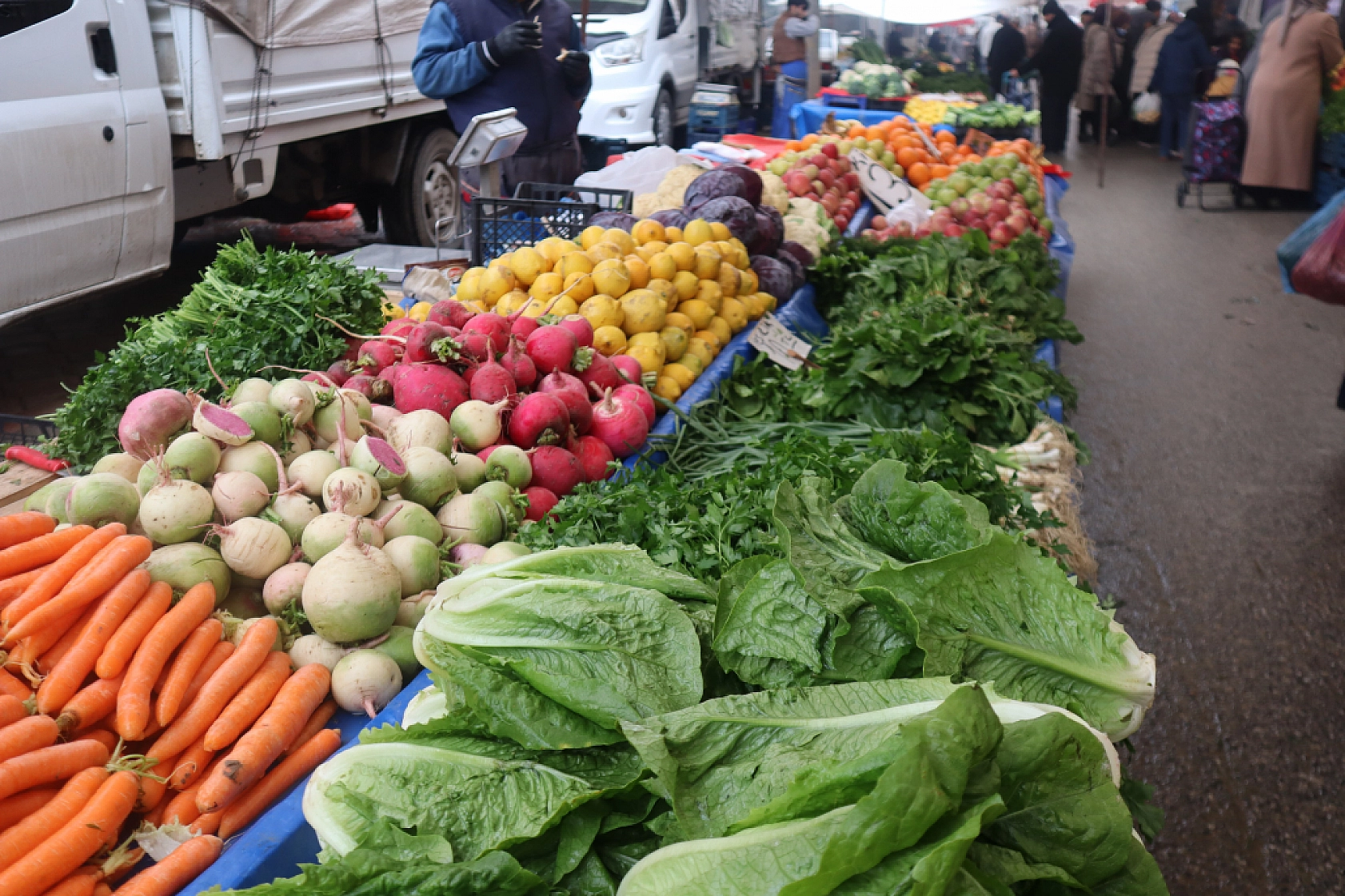 Manav, Market ve Hal Fiyatlarını Sizler İçin Karşılaştırdık! Malatya'da En Ucuz Meyve Sebze Fiyatı Nerde? İşte Cevabı…