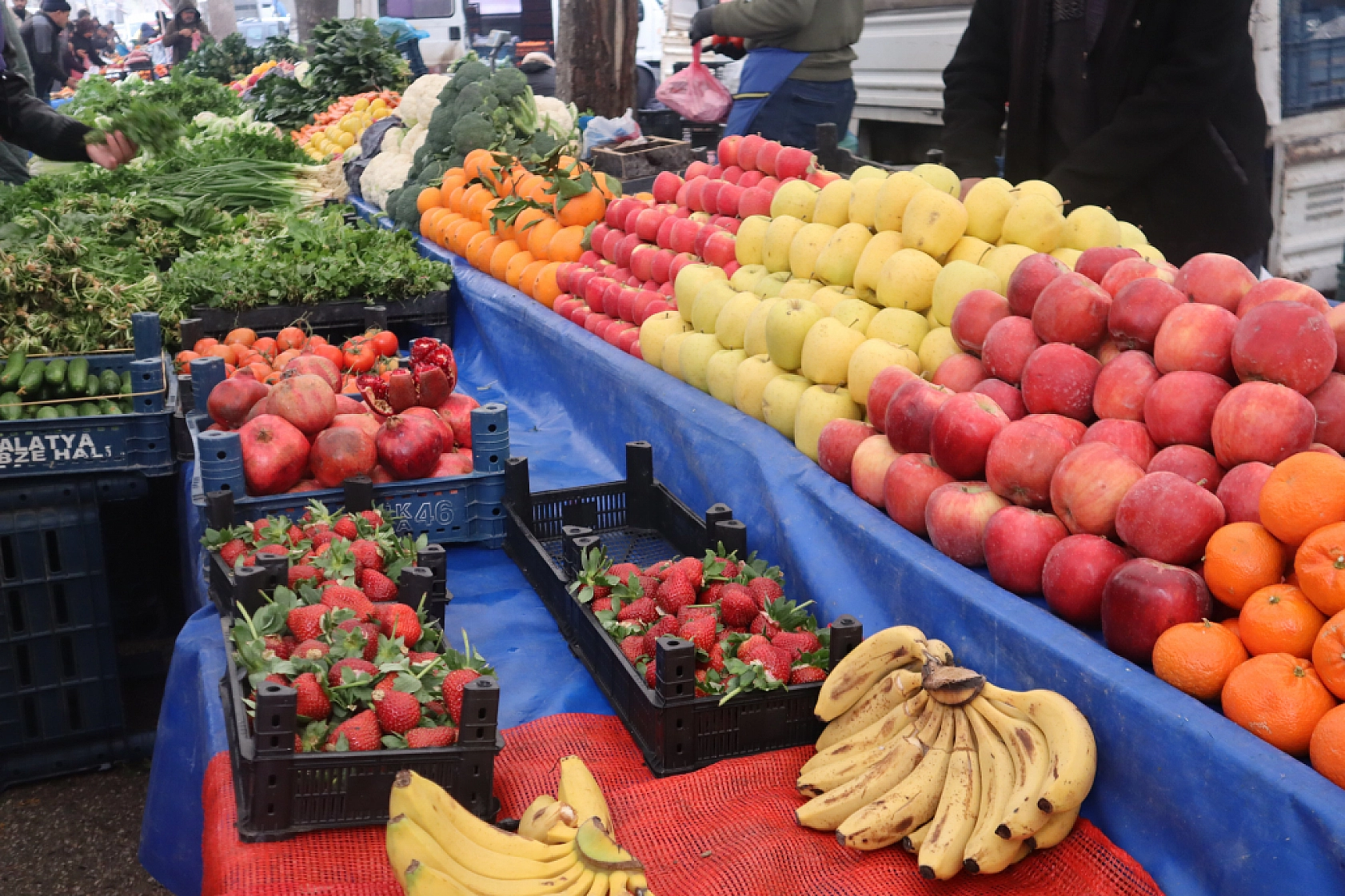 Manav, Market ve Hal Fiyatlarını Sizler İçin Karşılaştırdık! Malatya'da En Ucuz Meyve Sebze Fiyatı Nerde? İşte Cevabı…
