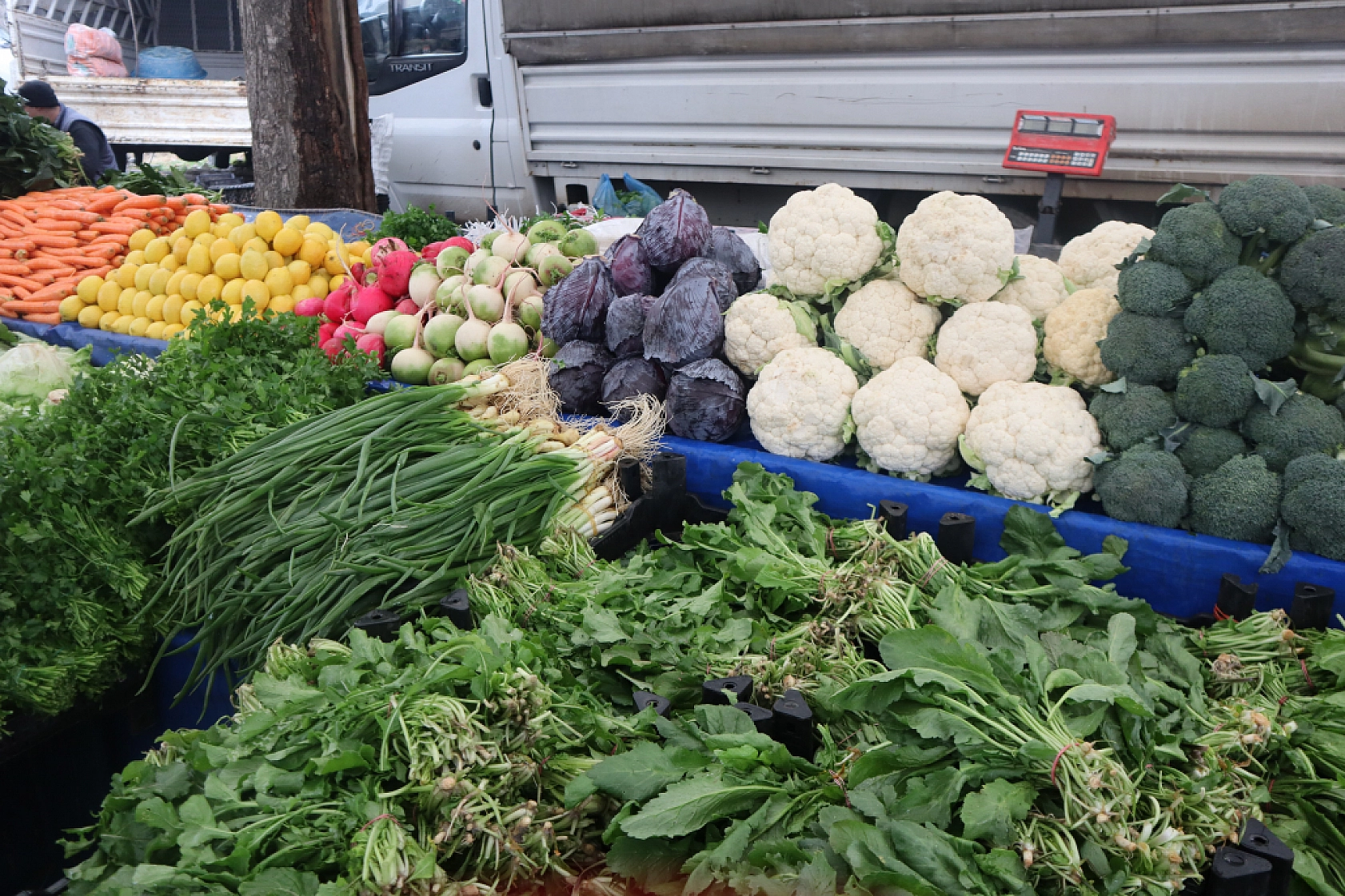 Manav, Market ve Hal Fiyatlarını Sizler İçin Karşılaştırdık! Malatya'da En Ucuz Meyve Sebze Fiyatı Nerde? İşte Cevabı…