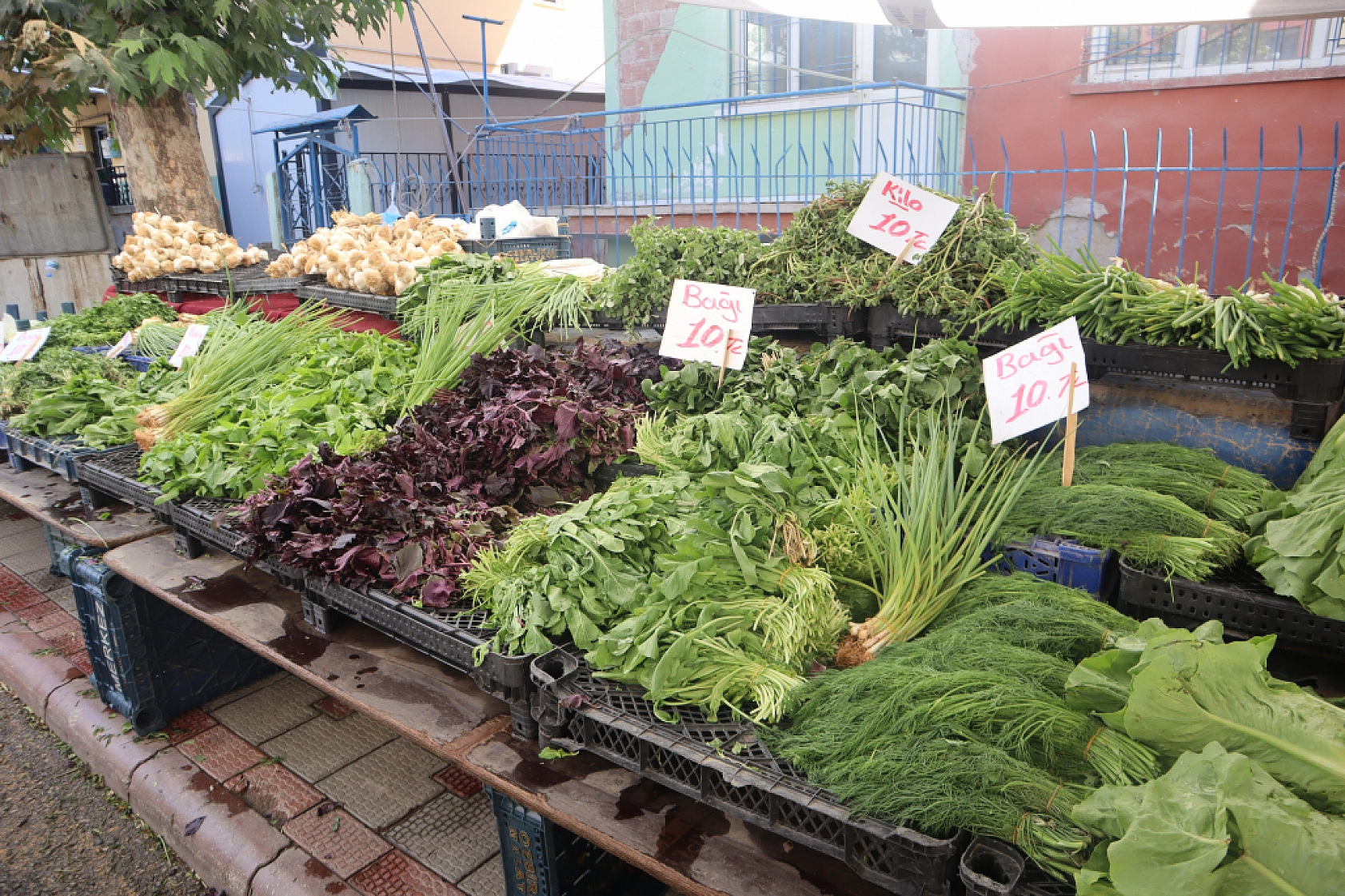 Malatya'da kurutmalık ve salçalık domates ile biber tezgahlarda yerini aldı! Peki fiyatları ne kadar?