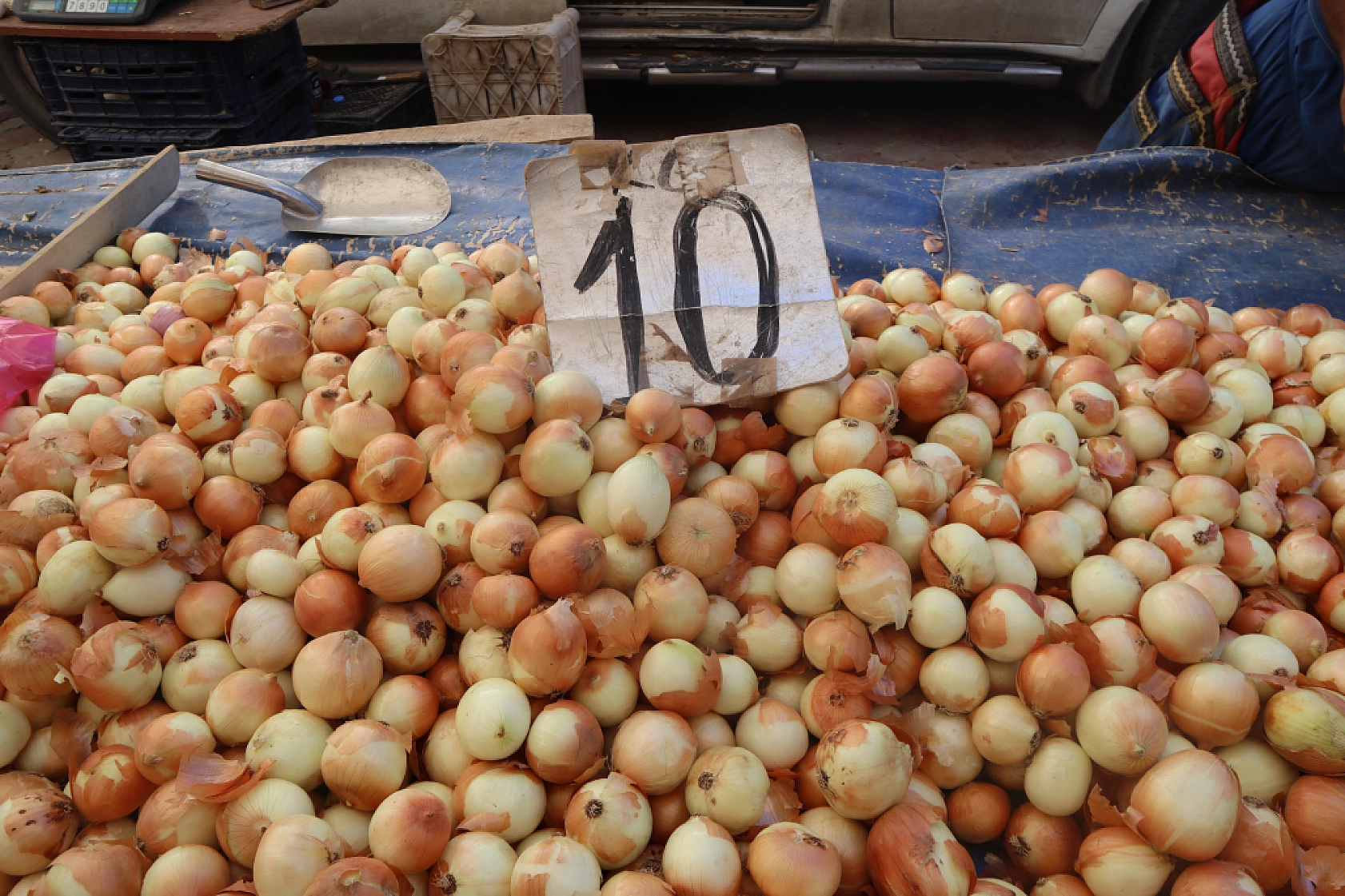 Malatya'da kurutmalık ve salçalık domates ile biber tezgahlarda yerini aldı! Peki fiyatları ne kadar?
