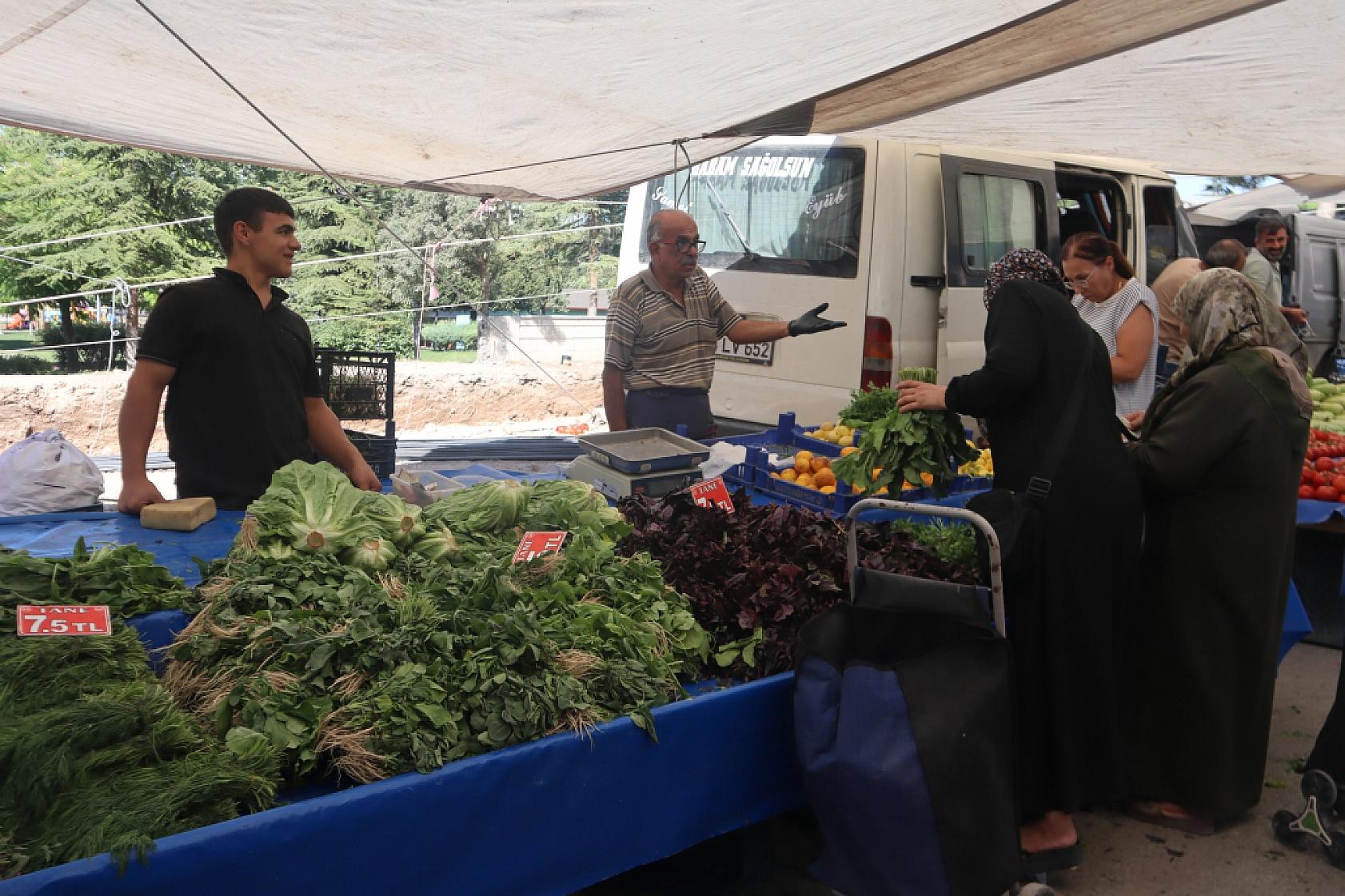 Malatya'da kurutmalık ve salçalık domates ile biber tezgahlarda yerini aldı! Peki fiyatları ne kadar?