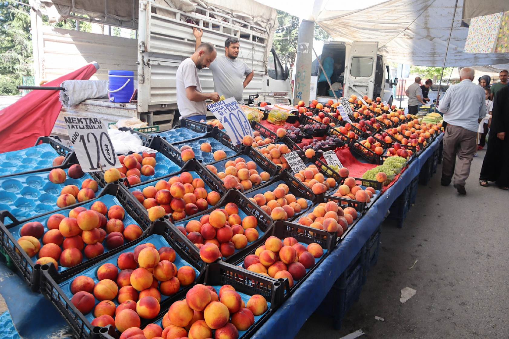 Malatya'da kurutmalık ve salçalık domates ile biber tezgahlarda yerini aldı! Peki fiyatları ne kadar?