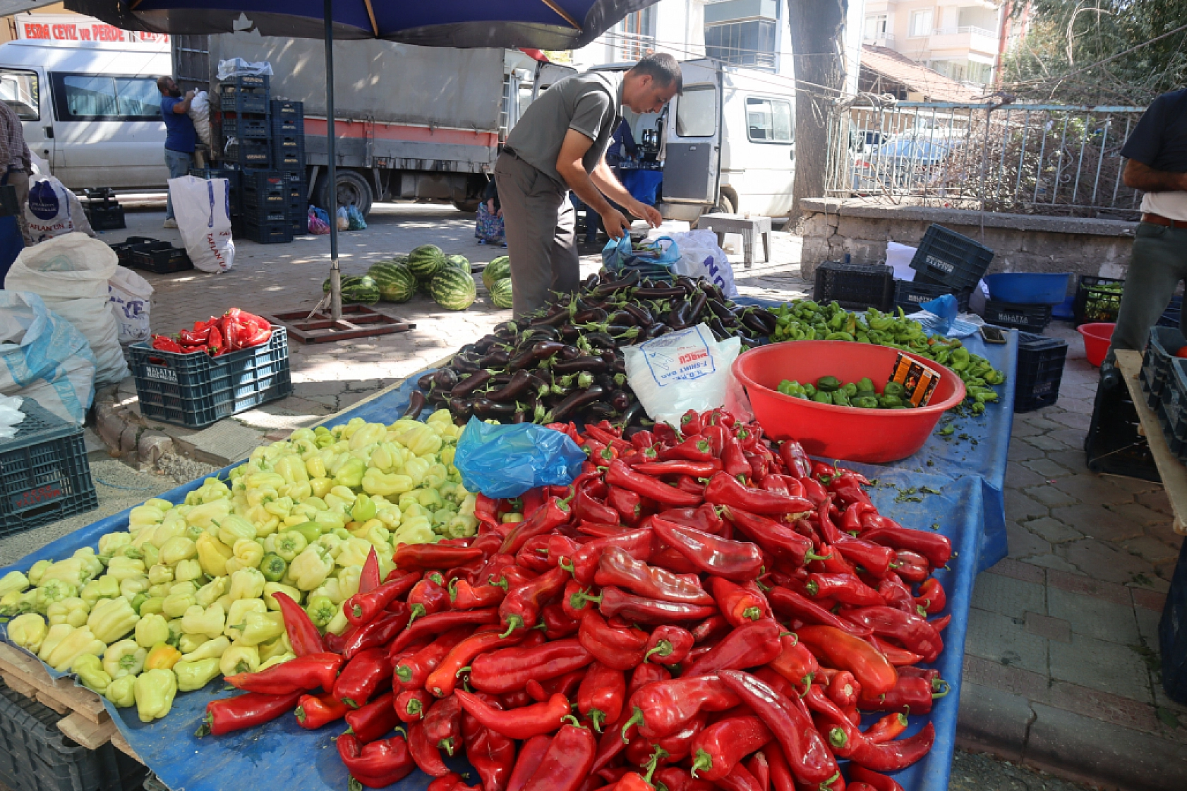 Malatya'da kurutmalık ve salçalık domates ile biber tezgahlarda yerini aldı! Peki fiyatları ne kadar?