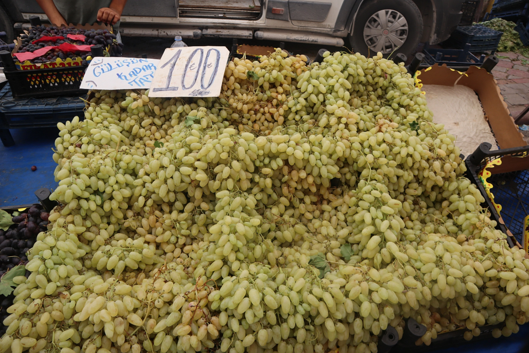Malatya'da kurutmalık ve salçalık domates ile biber tezgahlarda yerini aldı! Peki fiyatları ne kadar?