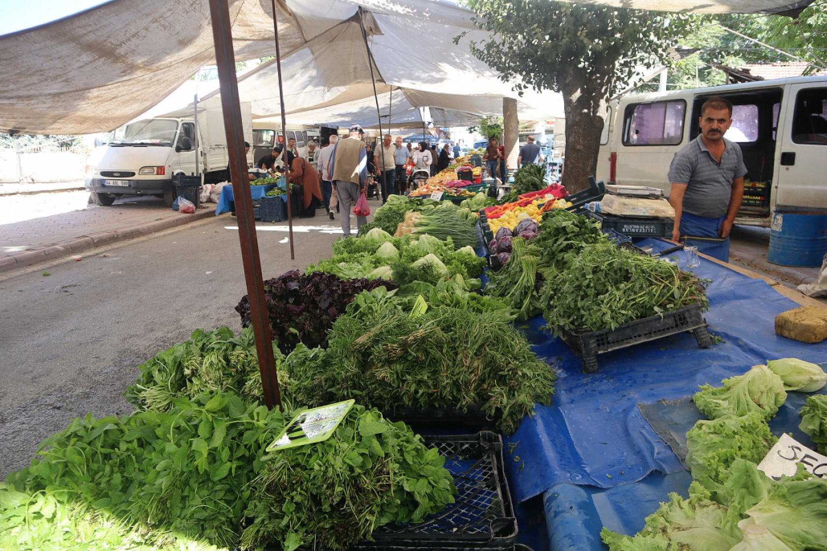 Malatya'da kurutmalık ve salçalık domates ile biber tezgahlarda yerini aldı! Peki fiyatları ne kadar?