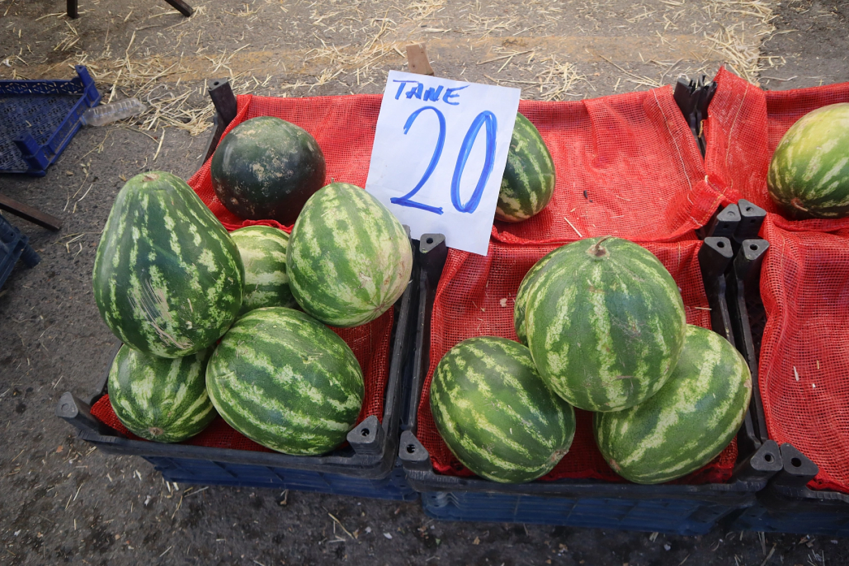 Malatya'da kurutmalık ve salçalık domates ile biber tezgahlarda yerini aldı! Peki fiyatları ne kadar?