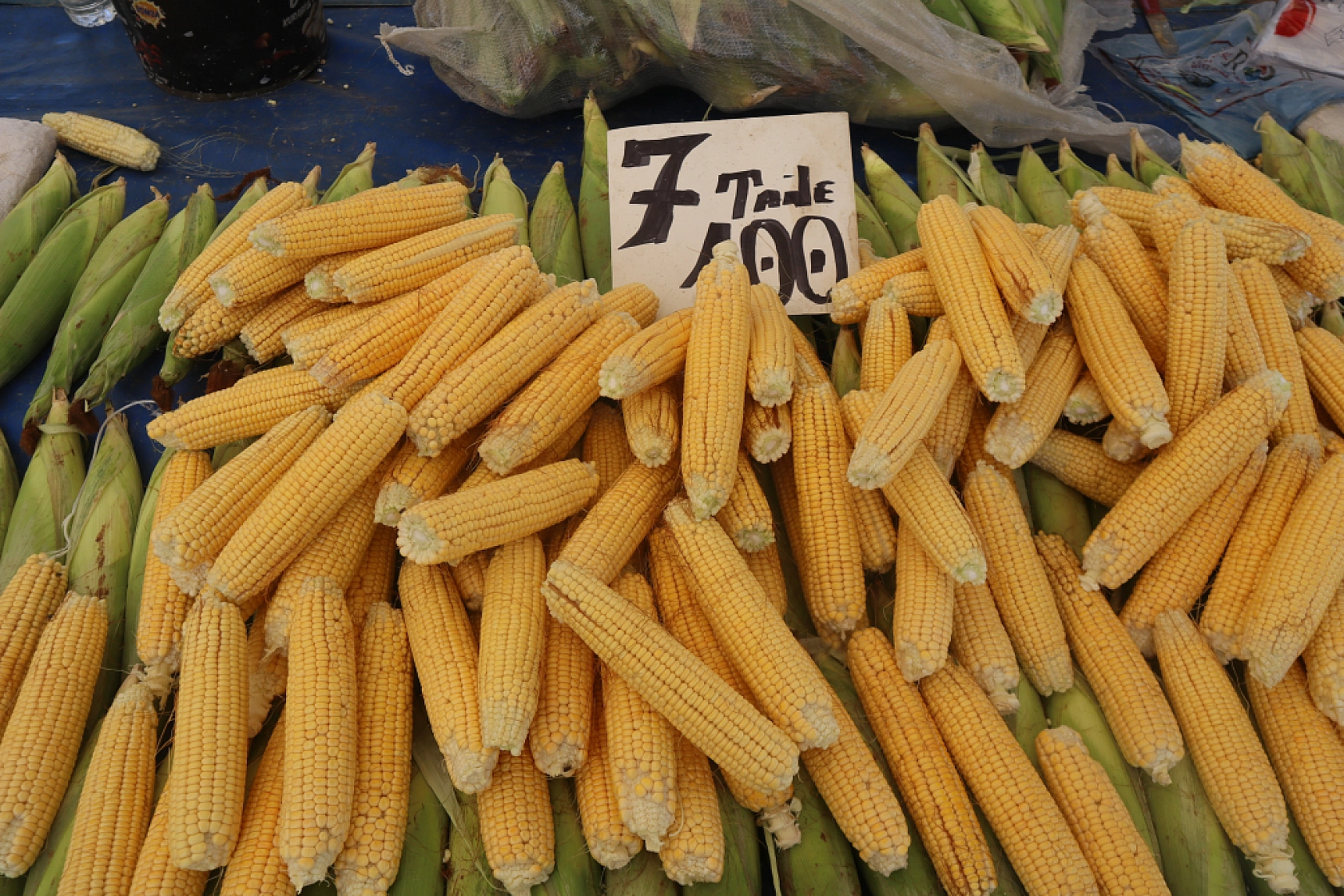 Malatya'da kurutmalık ve salçalık domates ile biber tezgahlarda yerini aldı! Peki fiyatları ne kadar?