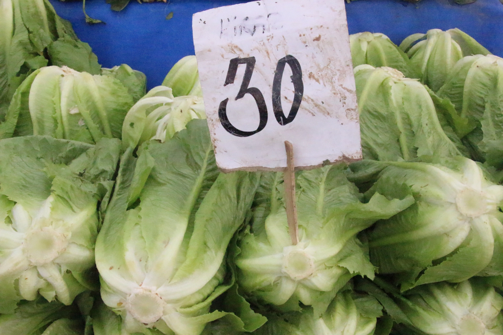 Marketlere Rağmen Malatyalılar Pazarı Tercih Ediyor! İşte Pazar Pazarın Güncel Fiyatları…