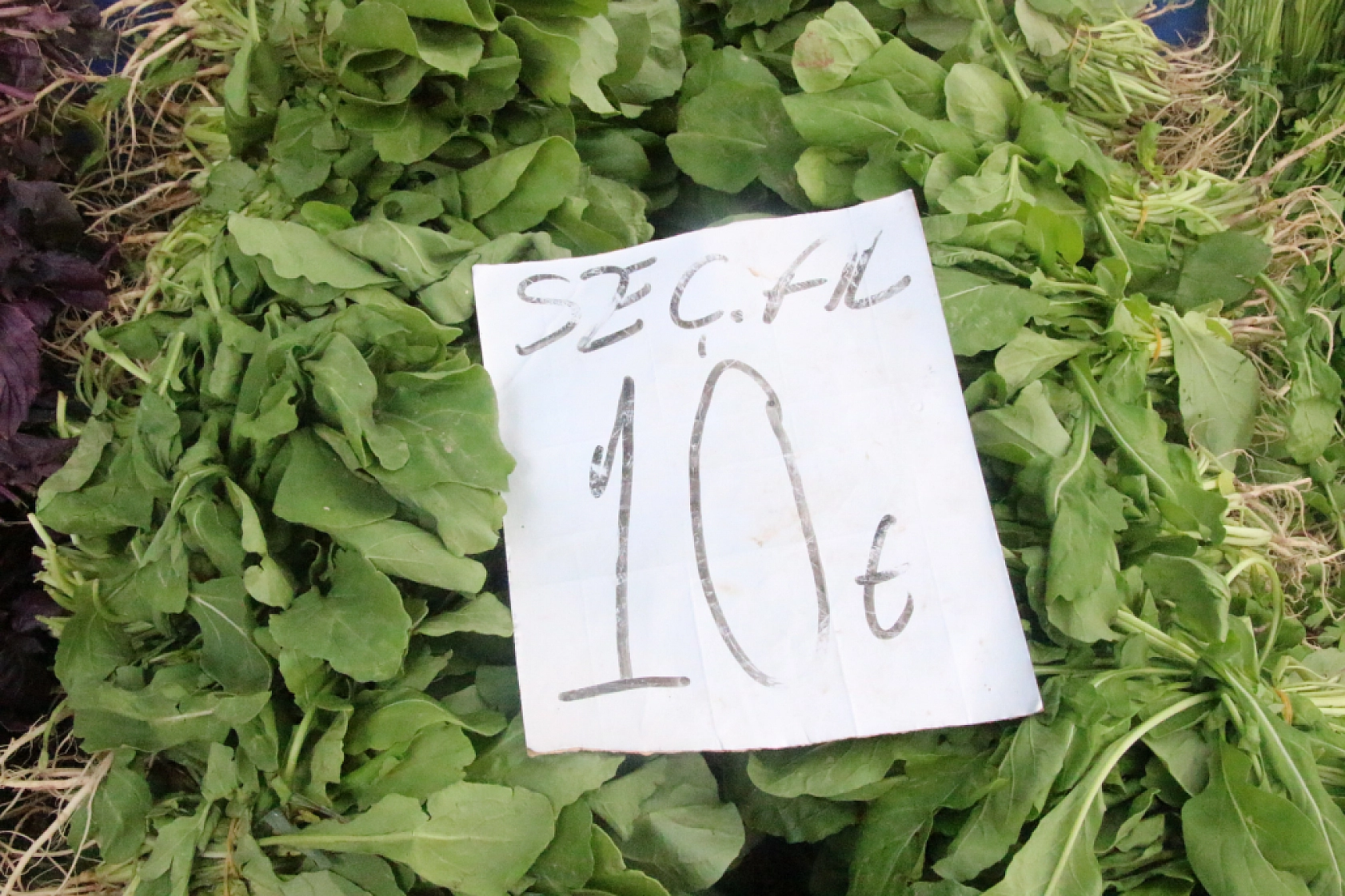 Marketlere Rağmen Malatyalılar Pazarı Tercih Ediyor! İşte Pazar Pazarın Güncel Fiyatları…