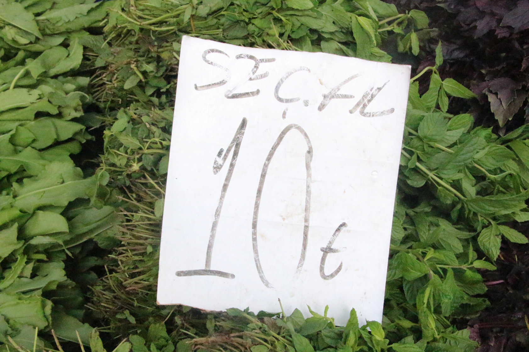 Marketlere Rağmen Malatyalılar Pazarı Tercih Ediyor! İşte Pazar Pazarın Güncel Fiyatları…