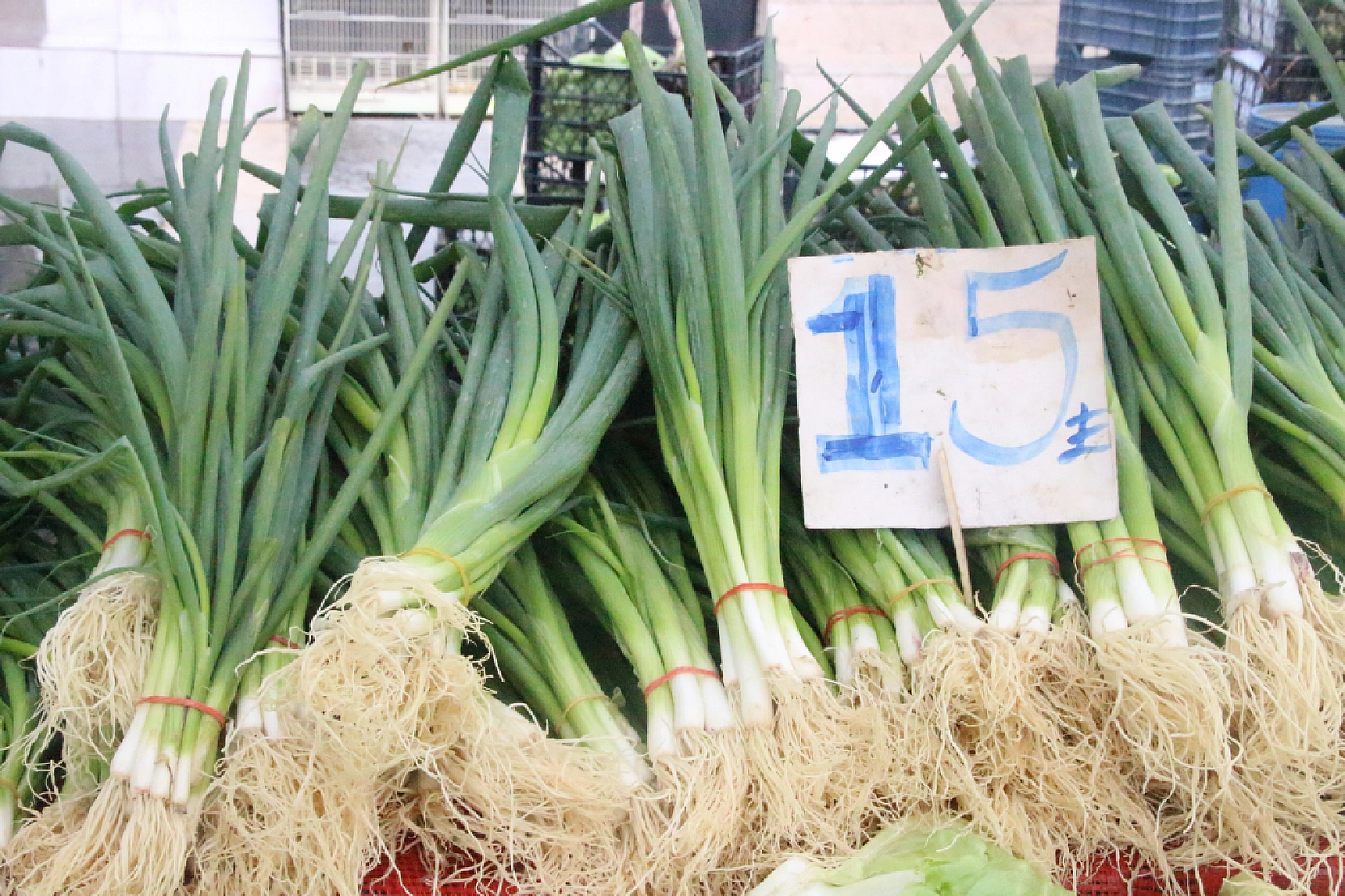 Marketlere Rağmen Malatyalılar Pazarı Tercih Ediyor! İşte Pazar Pazarın Güncel Fiyatları…