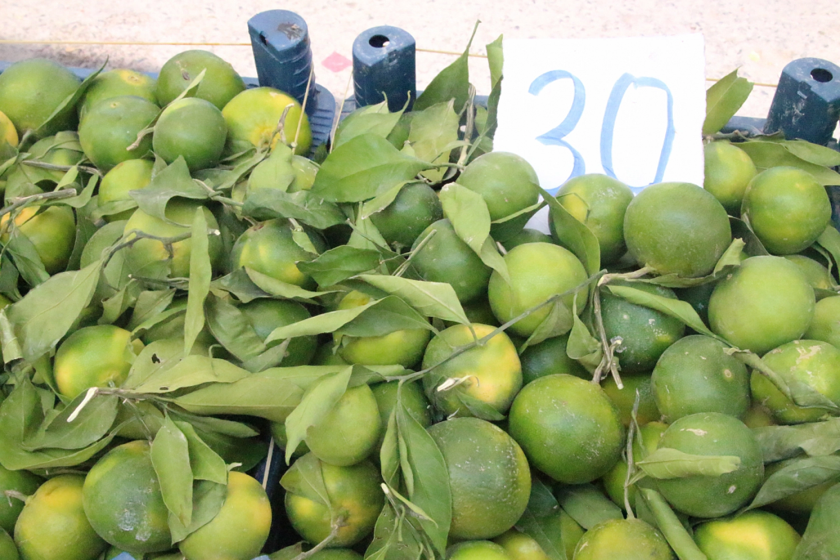 Marketlere Rağmen Malatyalılar Pazarı Tercih Ediyor! İşte Pazar Pazarın Güncel Fiyatları…