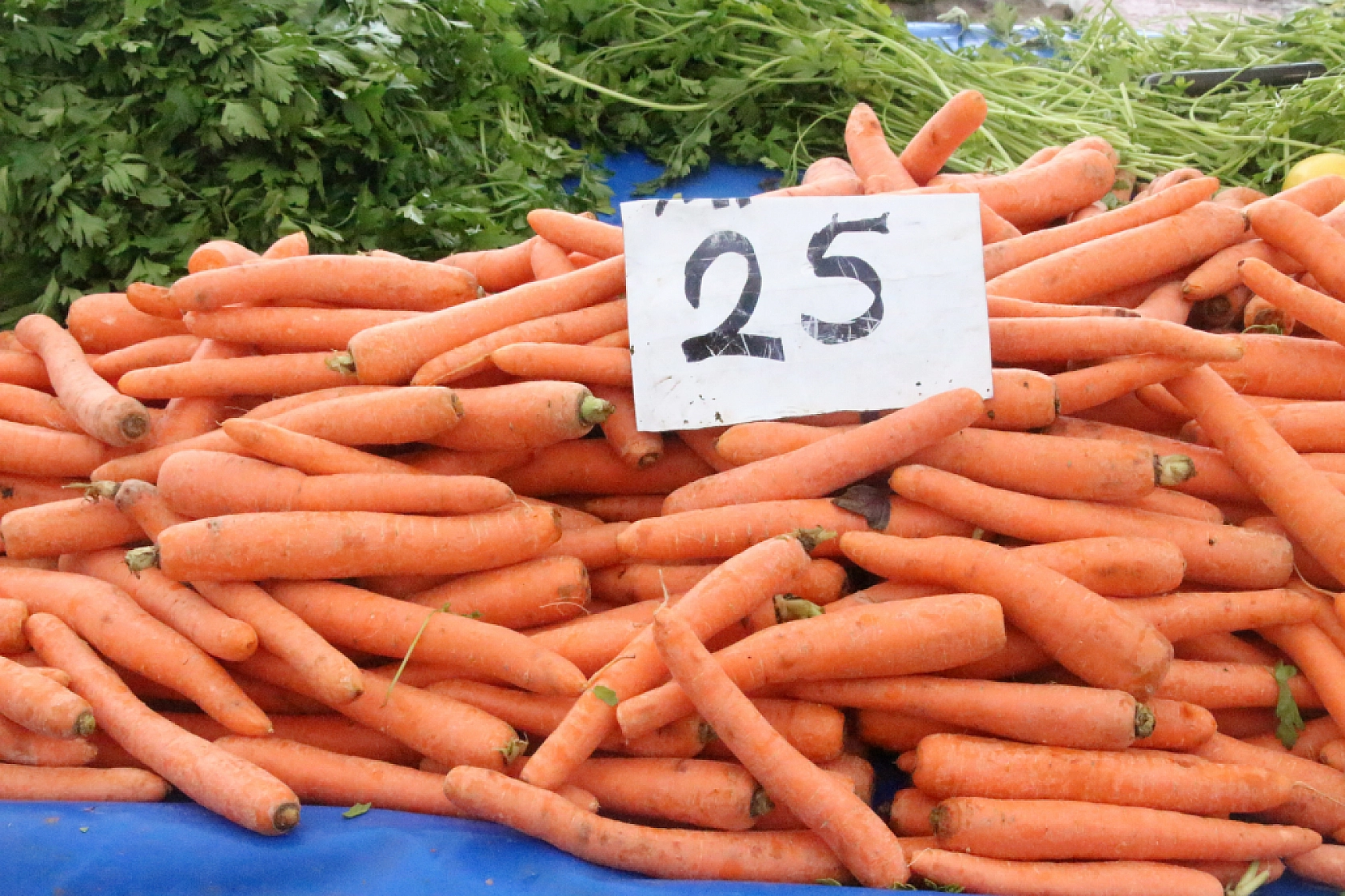 Marketlere Rağmen Malatyalılar Pazarı Tercih Ediyor! İşte Pazar Pazarın Güncel Fiyatları…