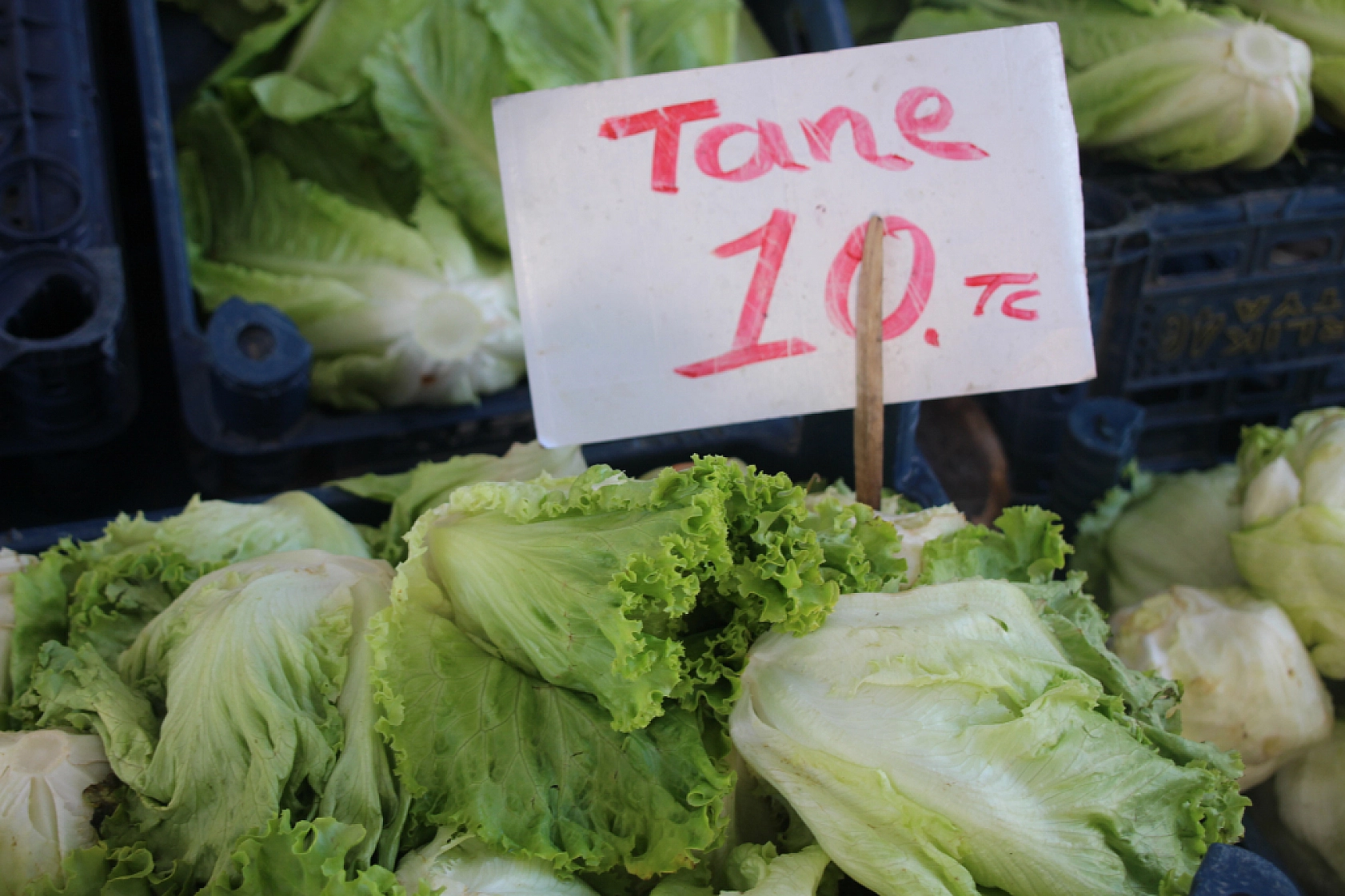 Malatyalılar Marketi Değil Semt Pazarını Seçti! İşte Perşembe Pazarın Güncel Fiyatları…