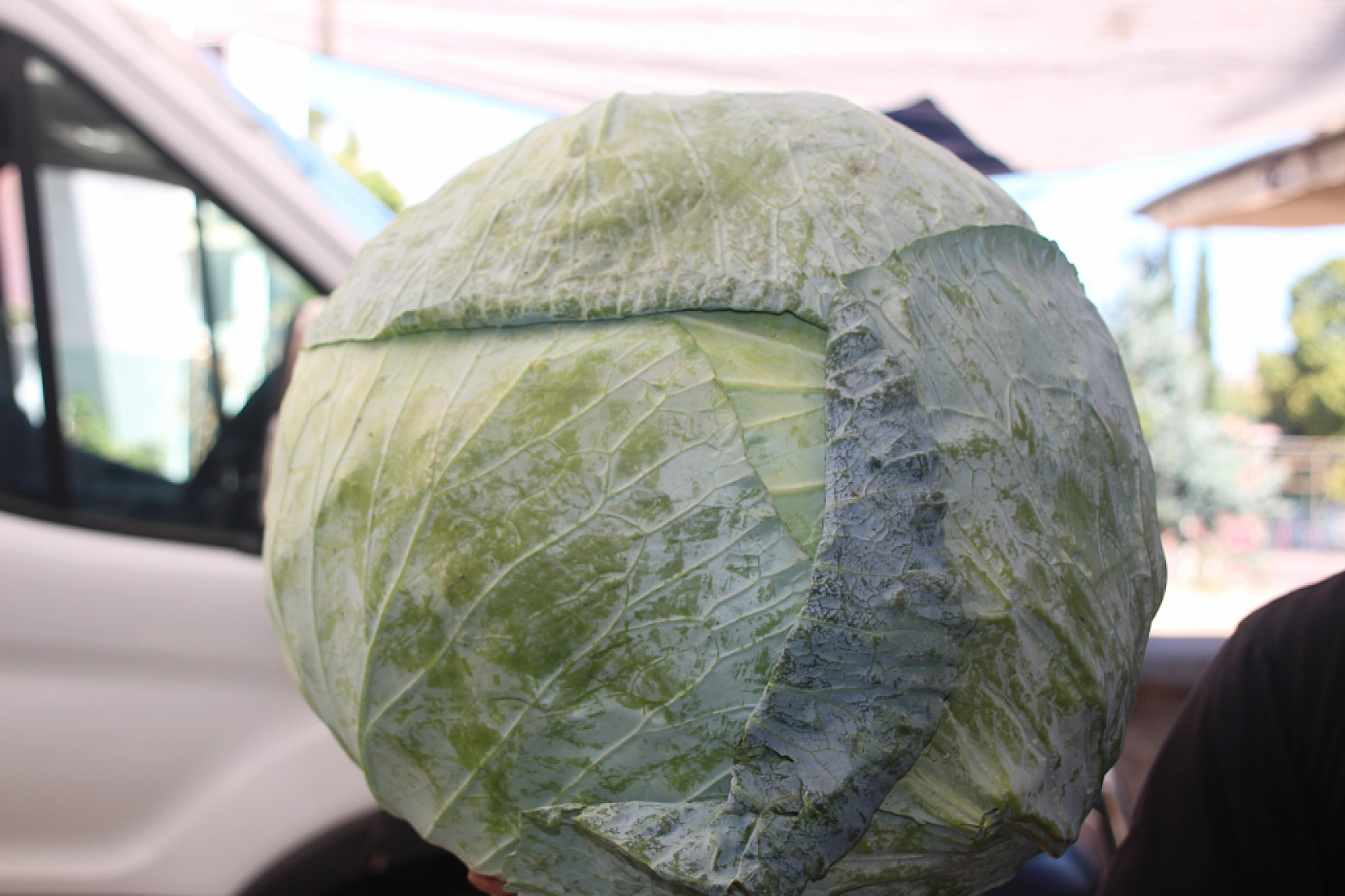 Malatyalılar Marketi Değil Semt Pazarını Seçti! İşte Perşembe Pazarın Güncel Fiyatları…