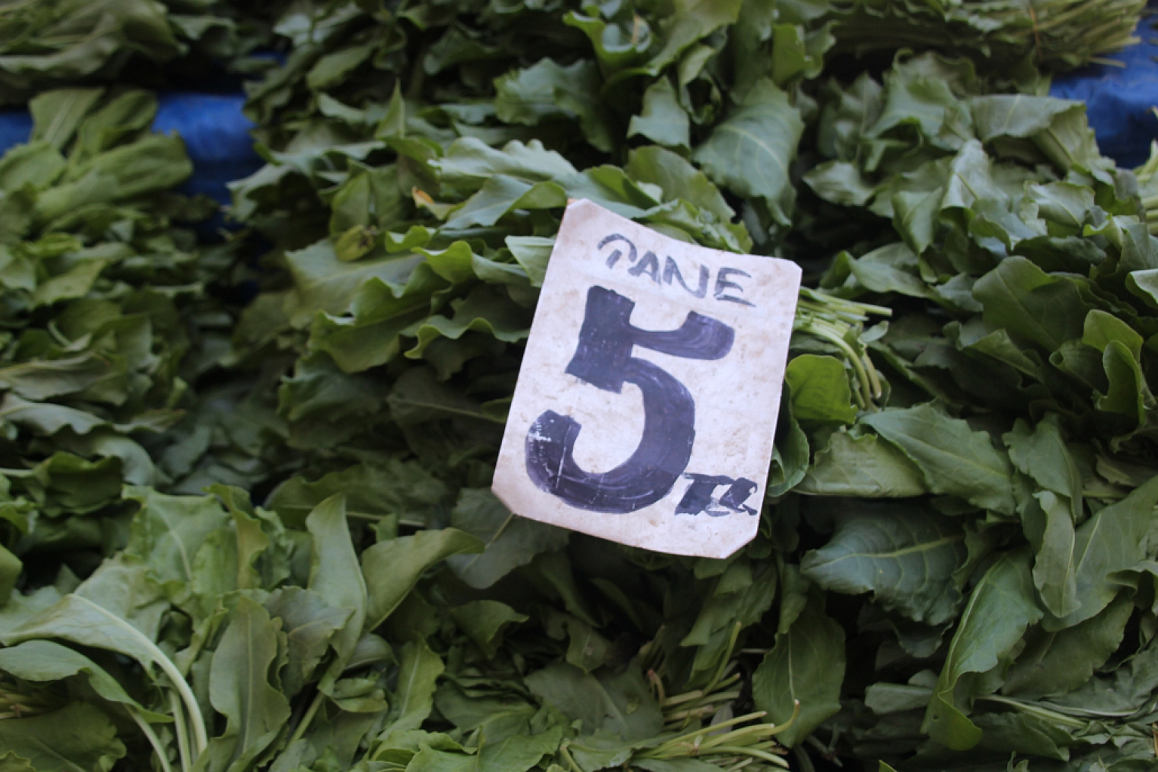 Malatyalılar Marketi Değil Semt Pazarını Seçti! İşte Perşembe Pazarın Güncel Fiyatları…