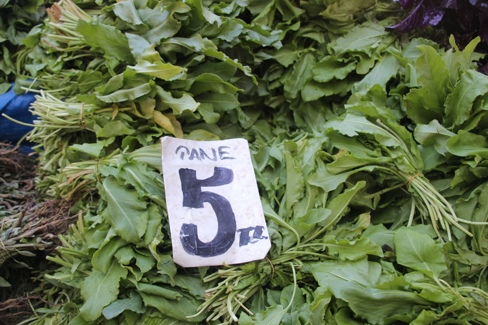 Malatyalılar Marketi Değil Semt Pazarını Seçti! İşte Perşembe Pazarın Güncel Fiyatları…