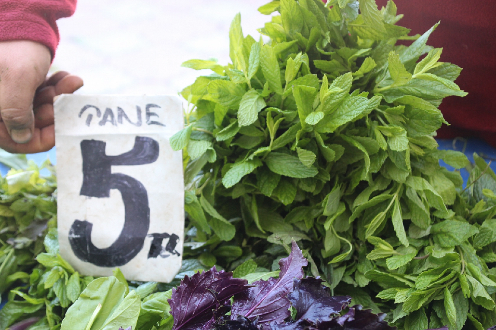 Malatyalılar Marketi Değil Semt Pazarını Seçti! İşte Perşembe Pazarın Güncel Fiyatları…